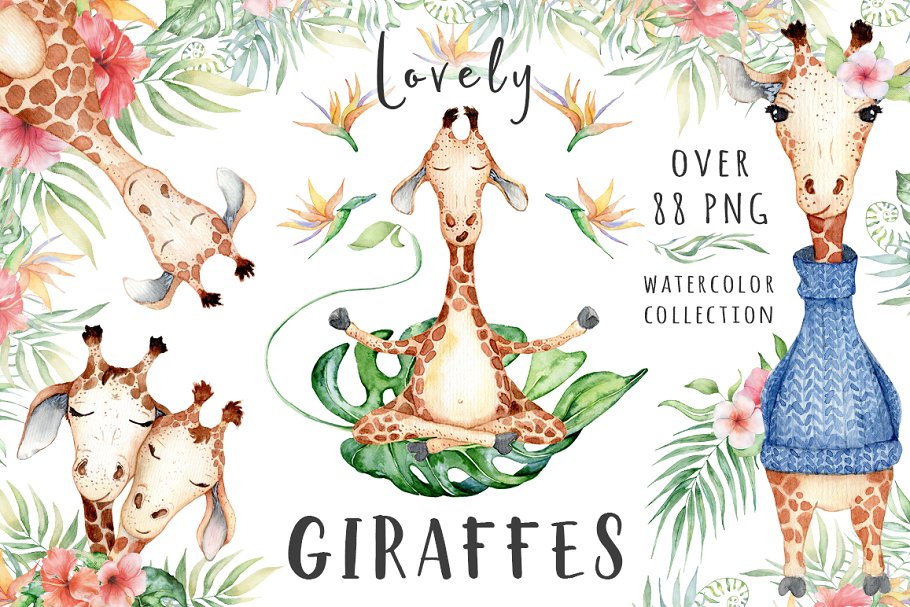 可爱热带动物长颈鹿水彩PNG画集 Lovely Giraffes watercolor set_img_2