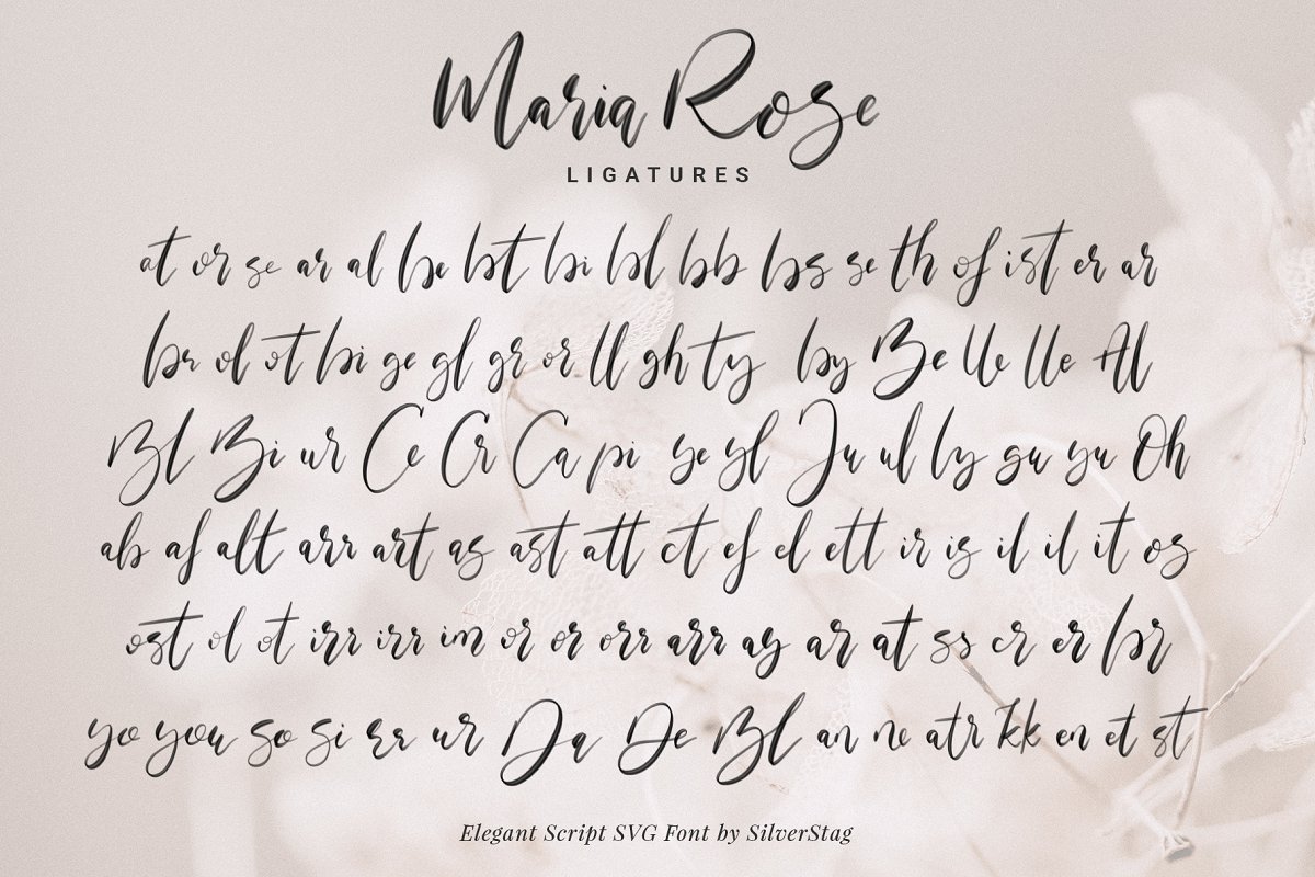 唯美手写书法签名标题字体 Maria Rose Elegant Script SVG Font_img_2