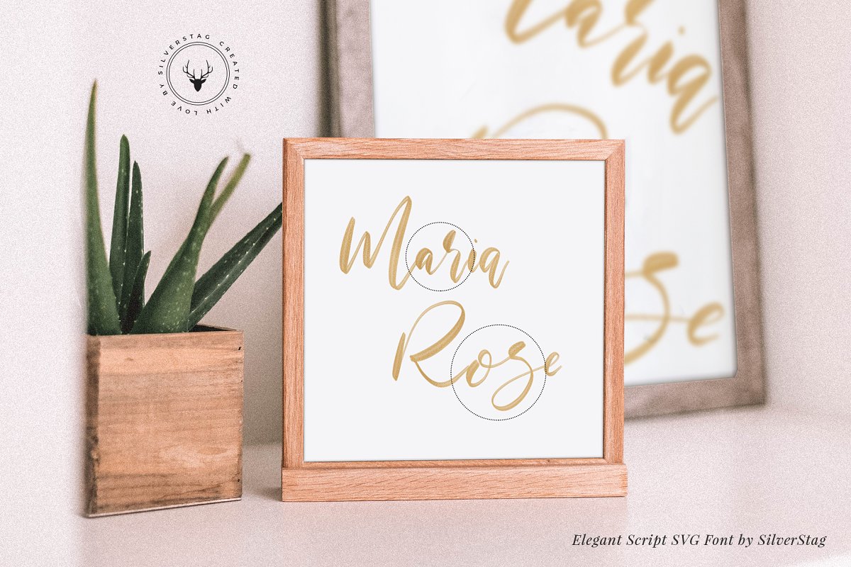 唯美手写书法签名标题字体 Maria Rose Elegant Script SVG Font_img_2