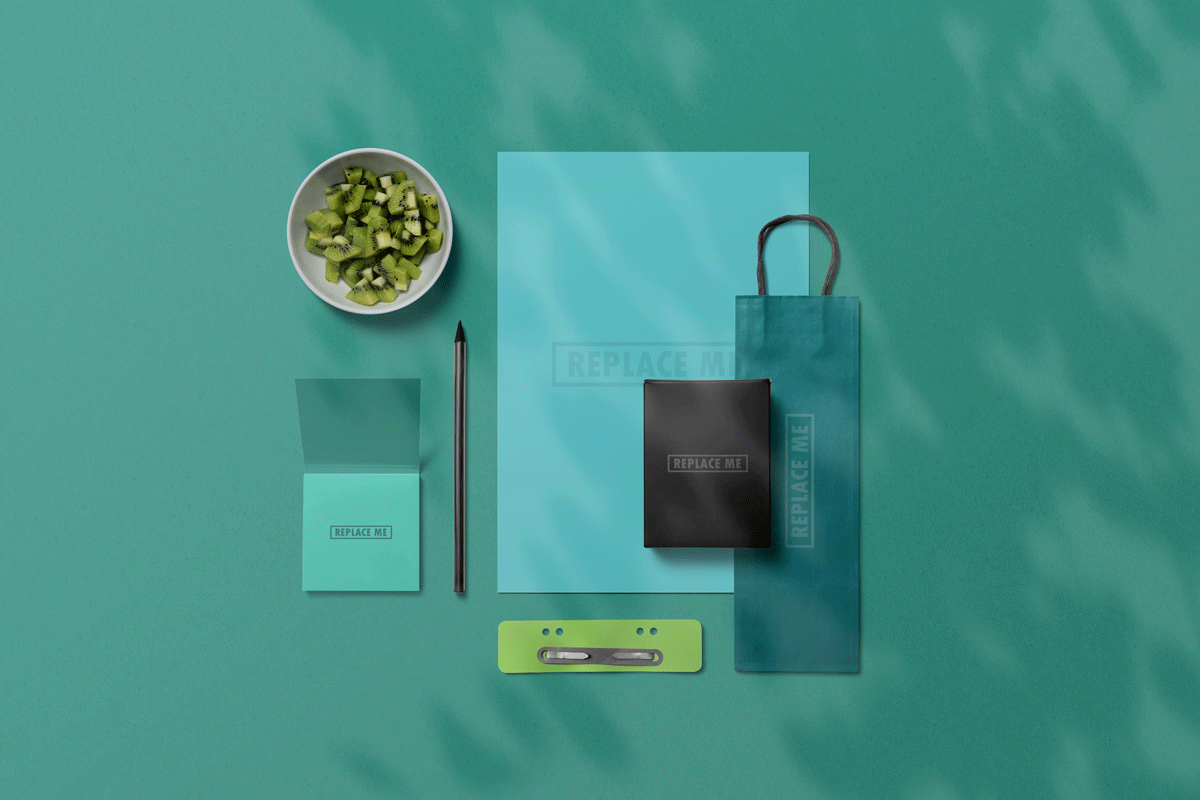 品牌VI设计提案办公文创档案袋手提袋展示样机 Art & Branding Mockups Vol.3_img_2