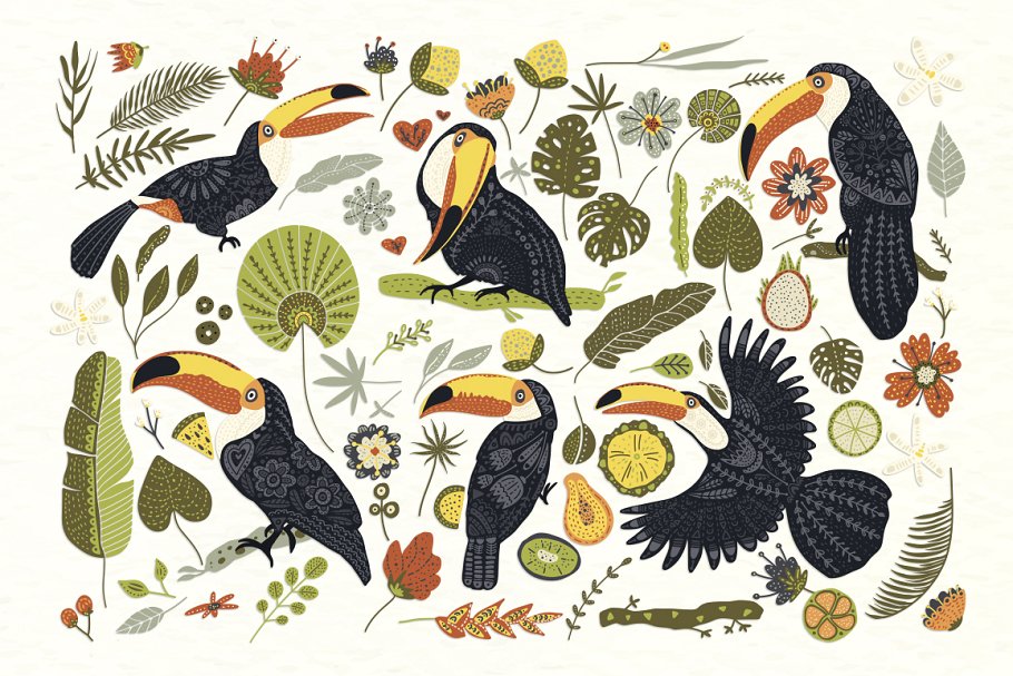 黑白色手绘巨嘴鸟民间艺术矢量EPS图案集 Toucan. Folk Art Graphic Set._img_2