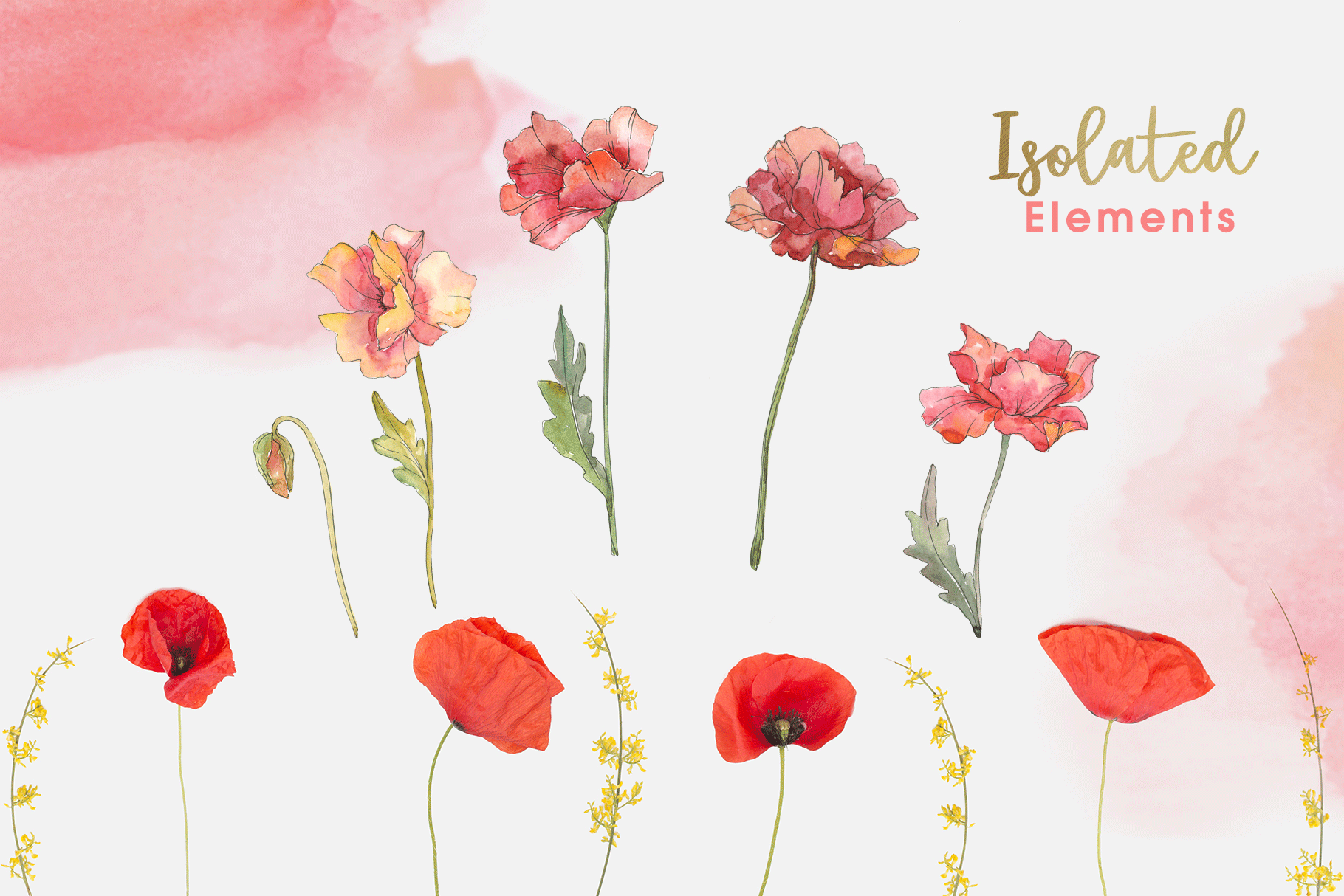 红色罂粟花花卉手绘水彩PNG图集 Red Watercolor Poppies PNG_img_2