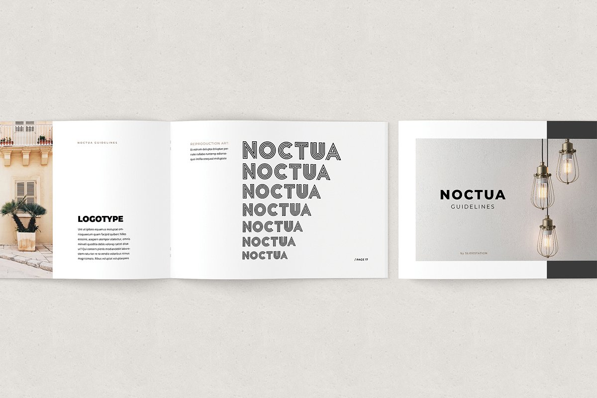 简约品牌视觉识别系统设计VIS指南INDD手册模板 Noctua Brand Guidelines_img_2