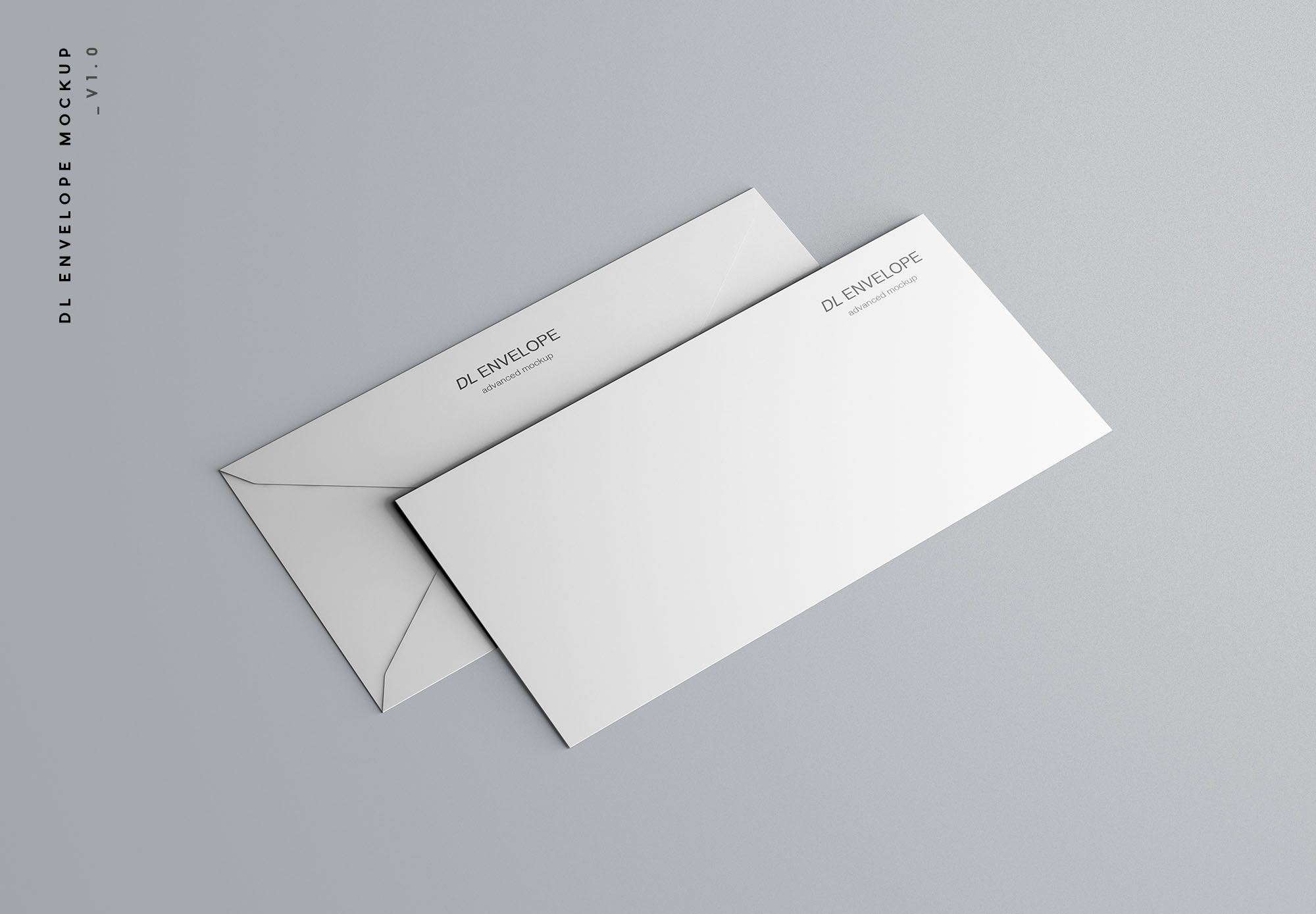 品牌VI设计提案DL信封展示样机 Baronial DL Envelope Mockup_img_2