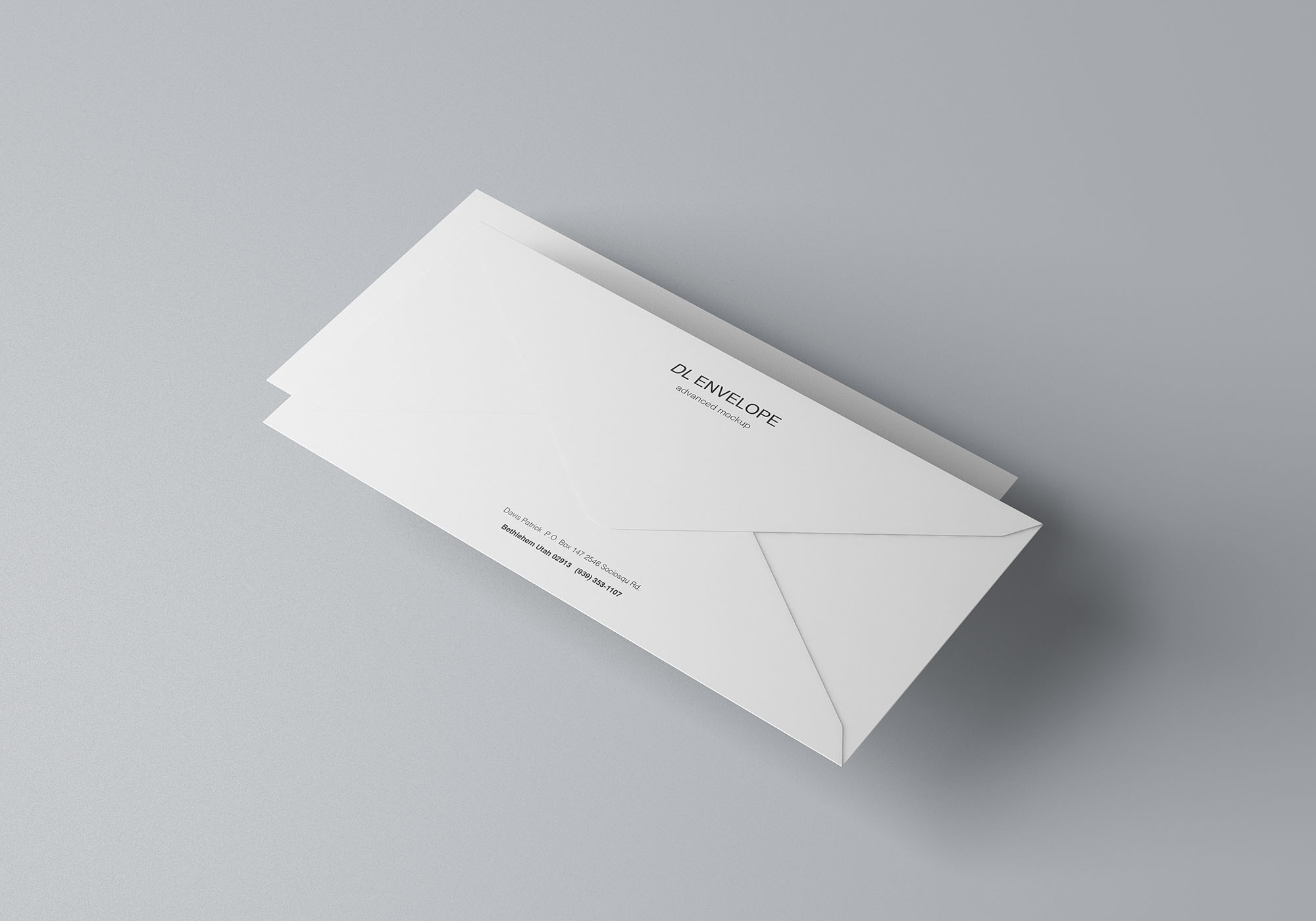 品牌VI设计提案DL信封展示样机 Baronial DL Envelope Mockup_img_2