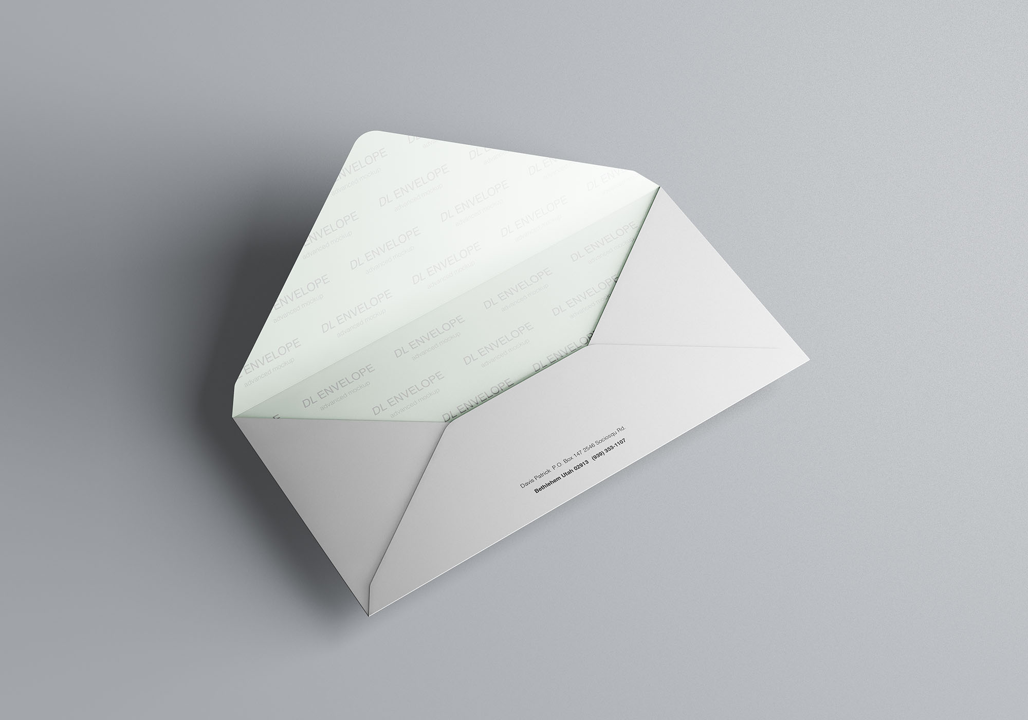 品牌VI设计提案DL信封展示样机 Baronial DL Envelope Mockup_img_2