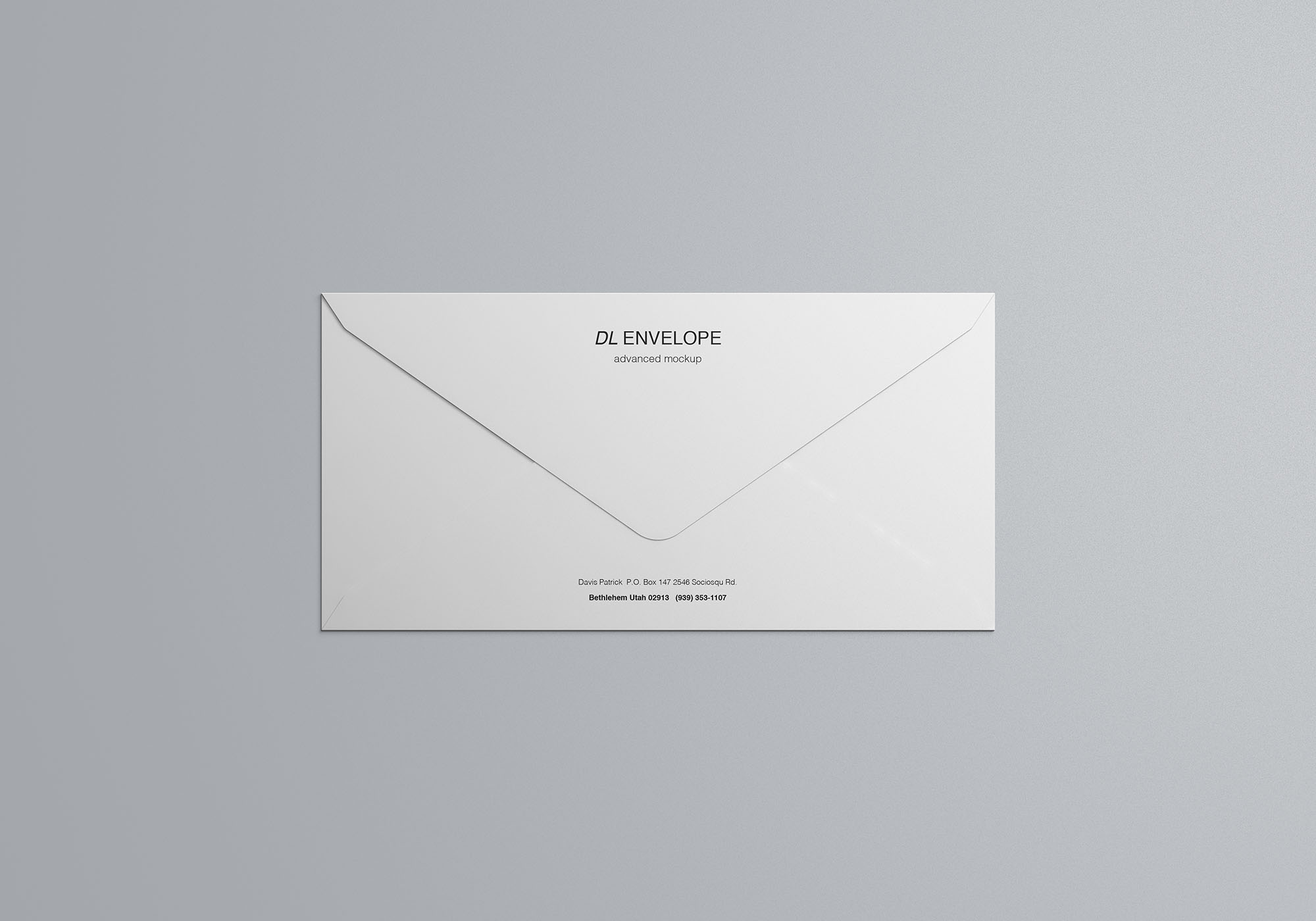 品牌VI设计提案DL信封展示样机 Baronial DL Envelope Mockup_img_2