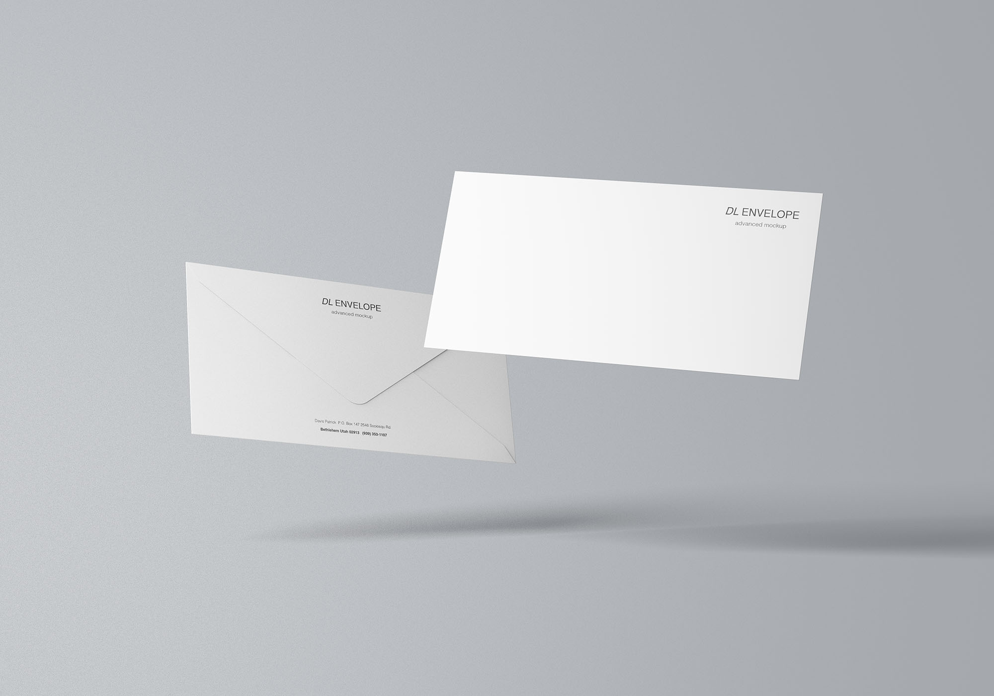 品牌VI设计提案DL信封展示样机 Baronial DL Envelope Mockup_img_2