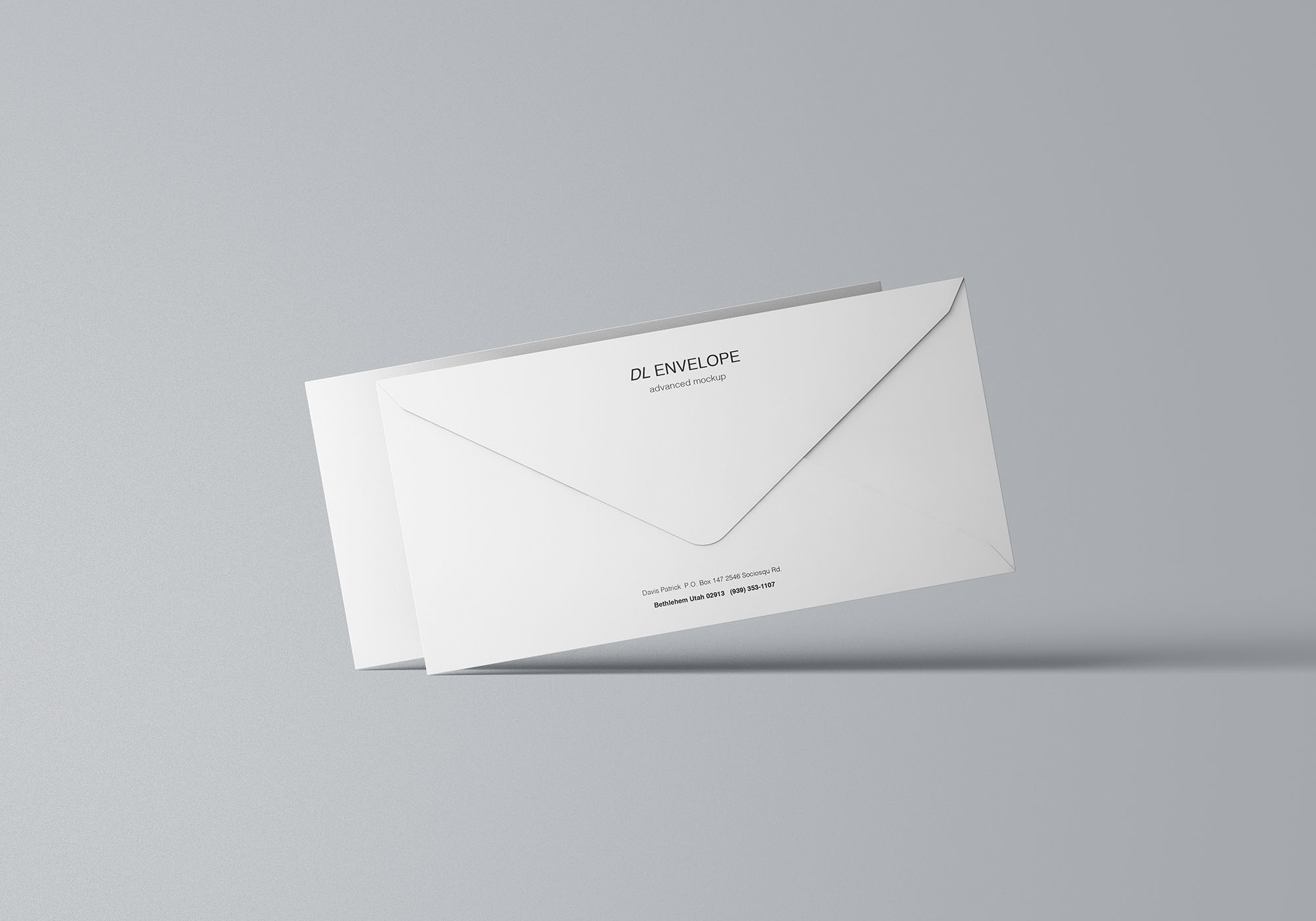 品牌VI设计提案DL信封展示样机 Baronial DL Envelope Mockup_img_2