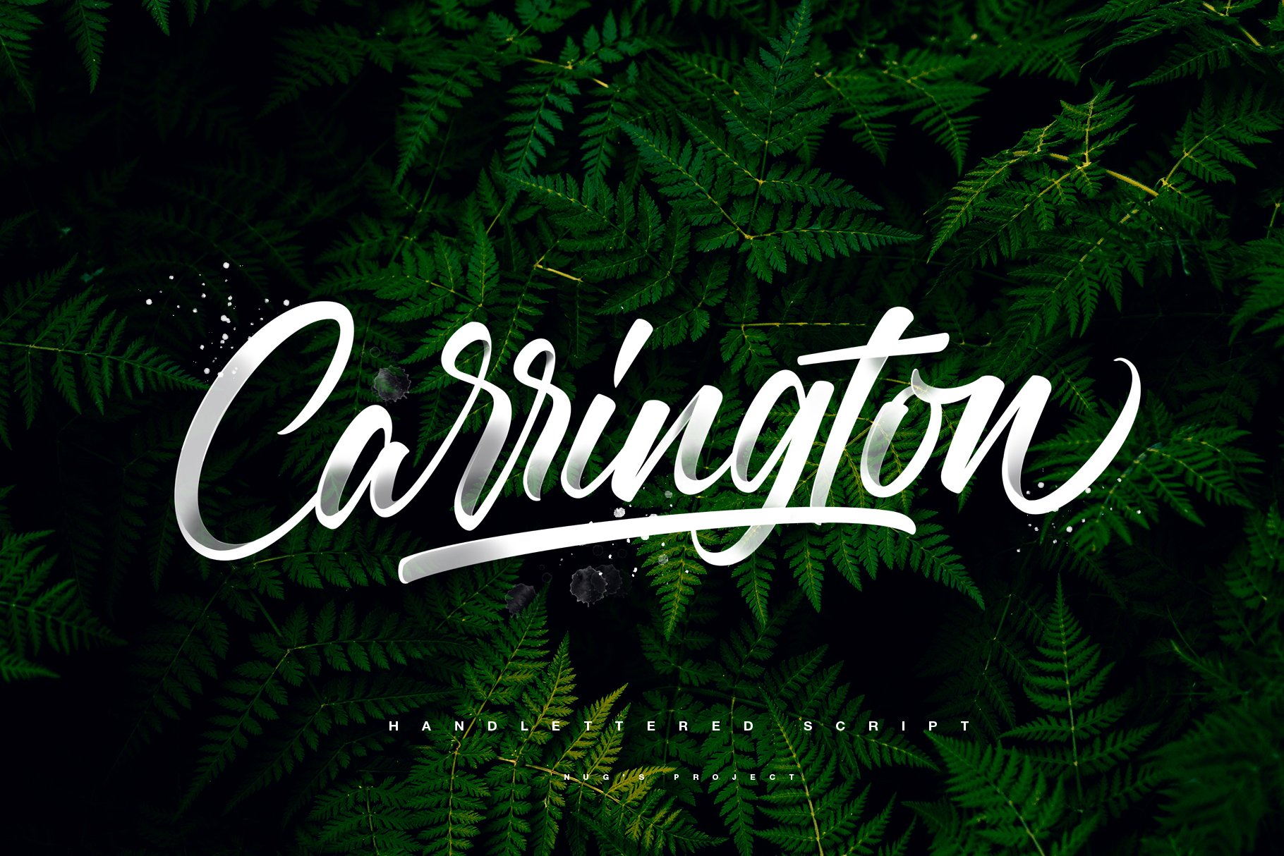 手写书法T恤徽章字体 Carrington Font_img_2