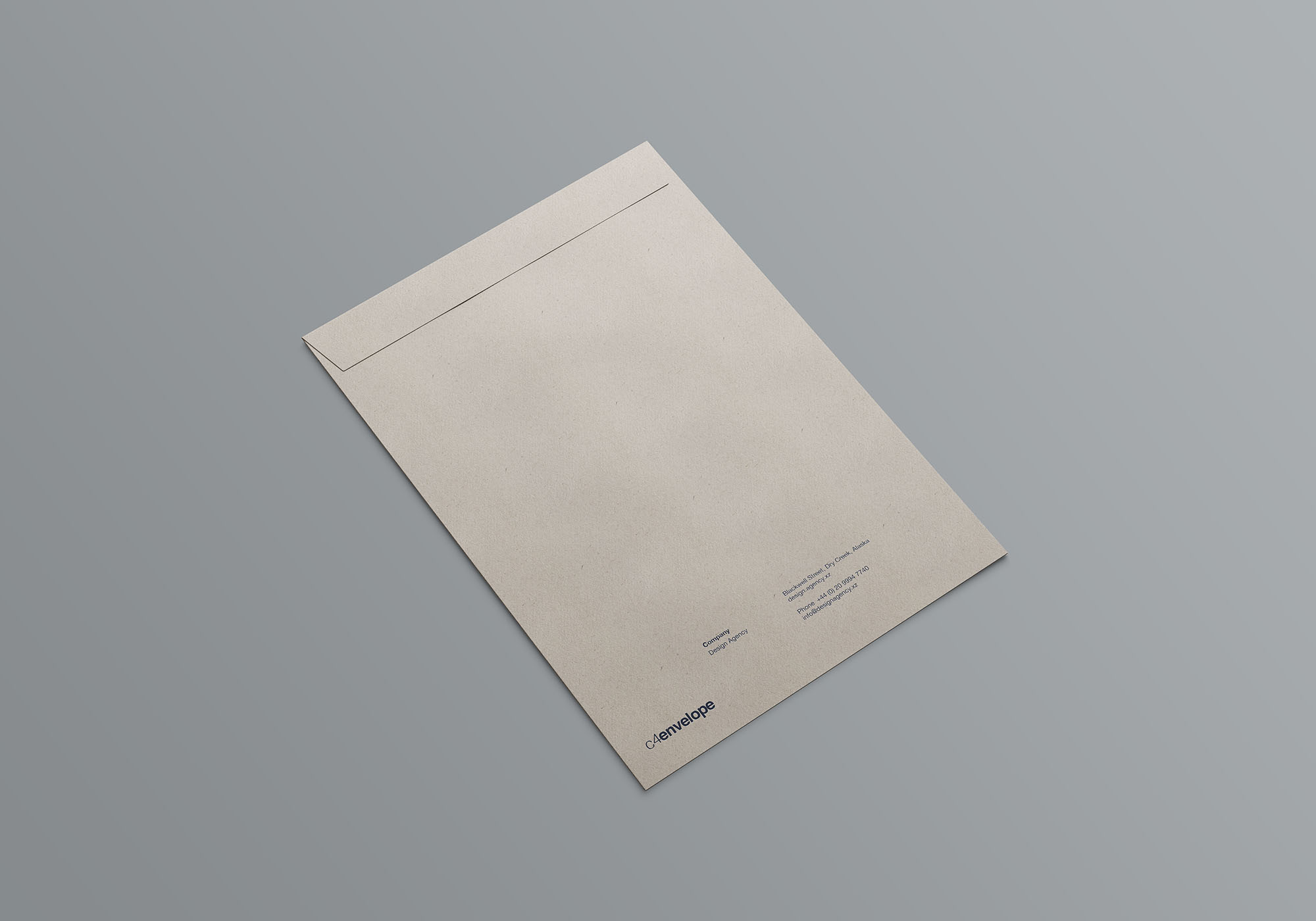 C4档案袋文件夹展示样机 C4 Envelope Mockup_img_2