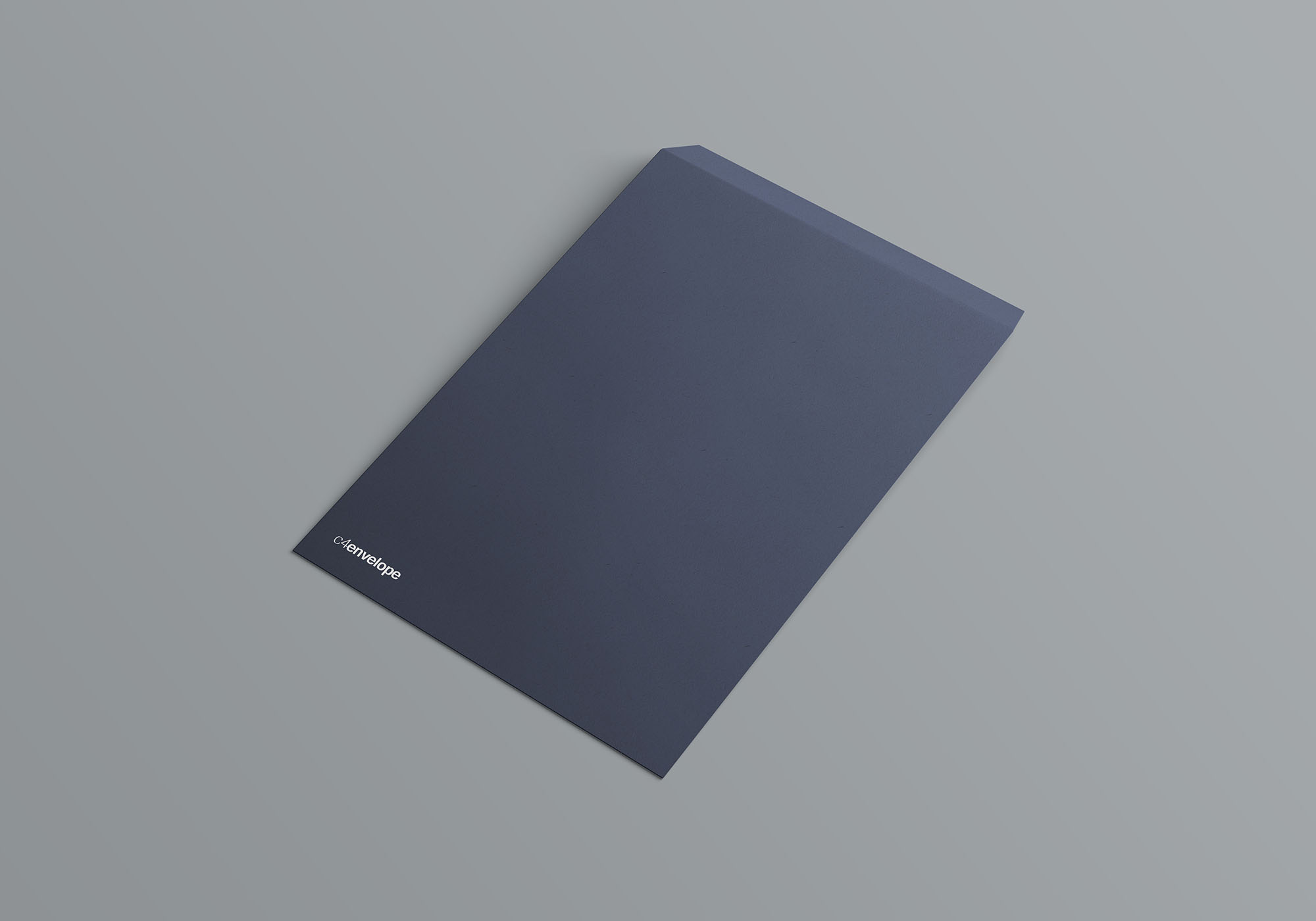 C4档案袋文件夹展示样机 C4 Envelope Mockup_img_2
