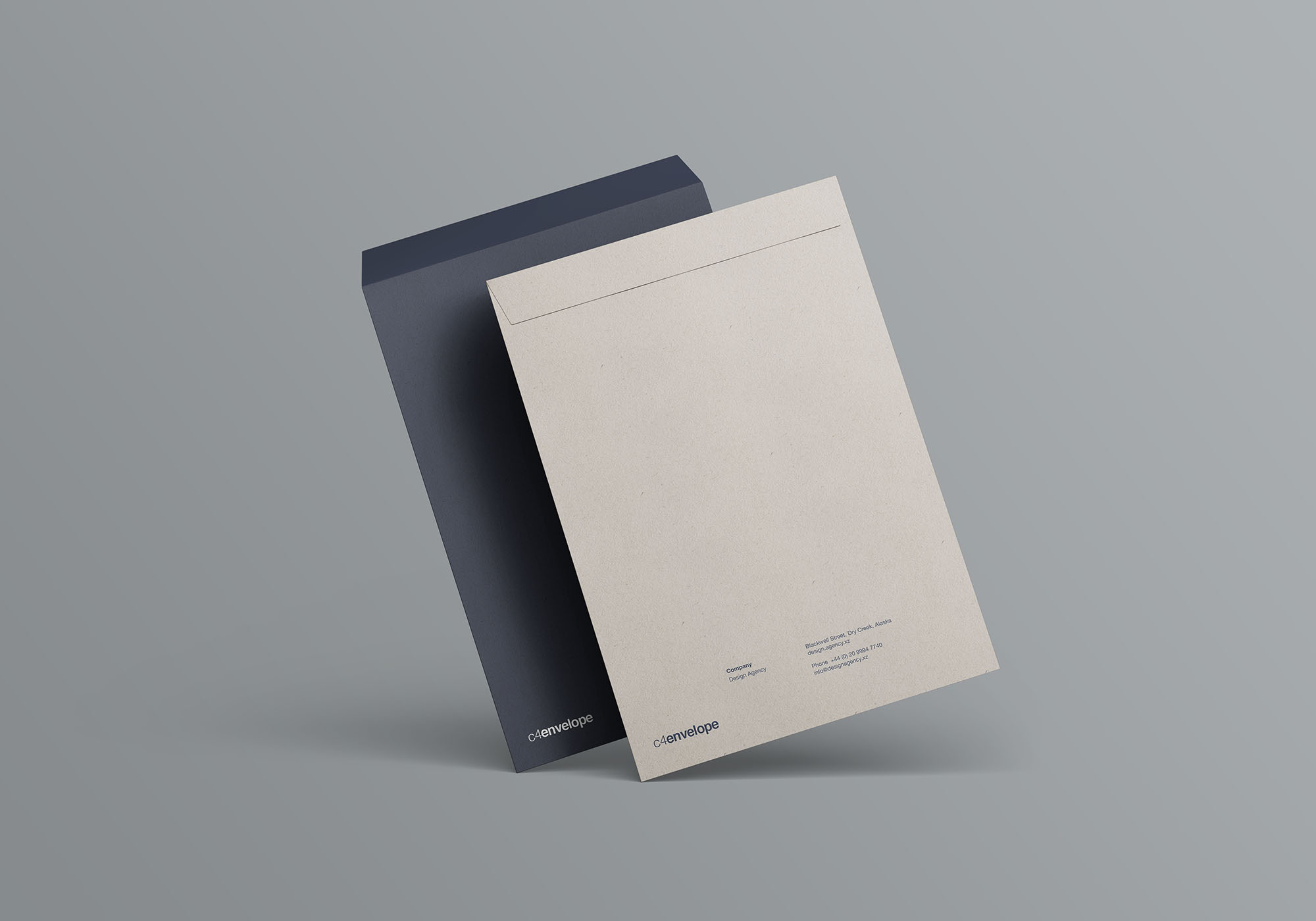 C4档案袋文件夹展示样机 C4 Envelope Mockup_img_2