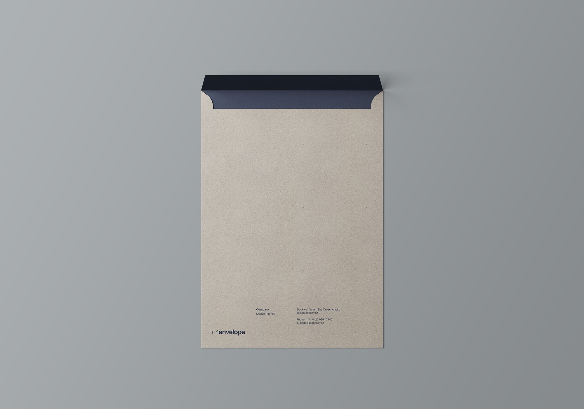 C4档案袋文件夹展示样机 C4 Envelope Mockup_img_2