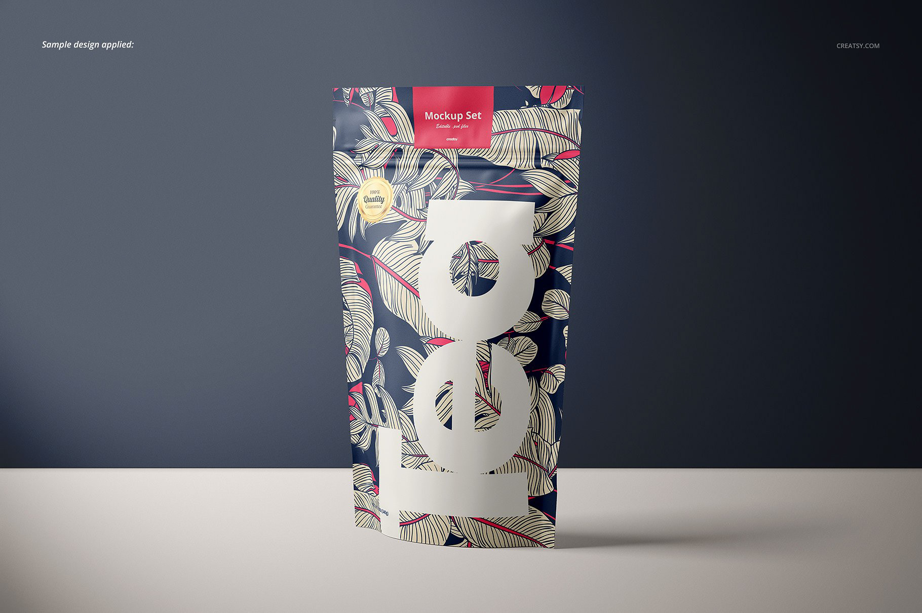 食品糖果自封袋塑料袋样机合集 Stand Up Ziplock Bag Mockup Set_img_2