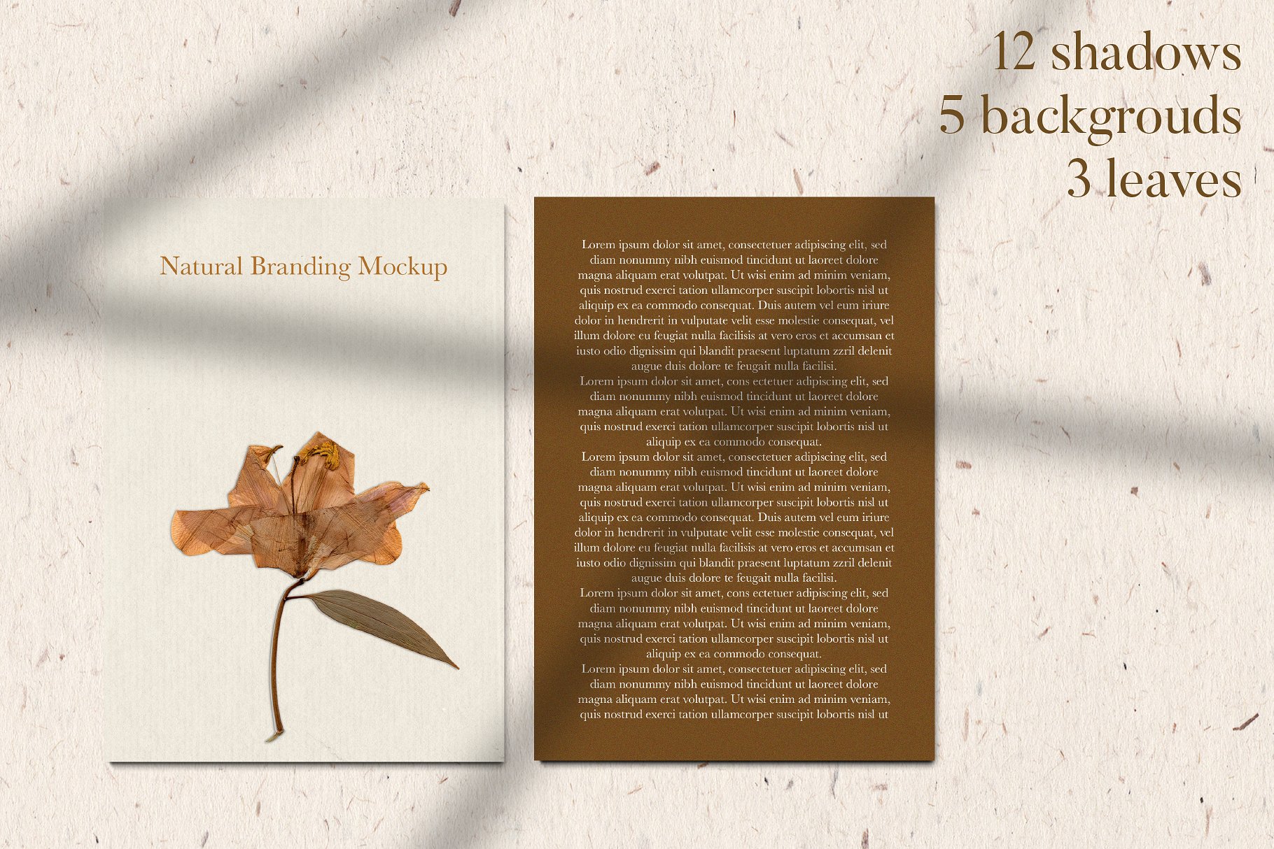 自然风格品牌VI设计提案办公文创展示样机PSD智能贴图模板 Natural Stationary Branding Mockup_img_2