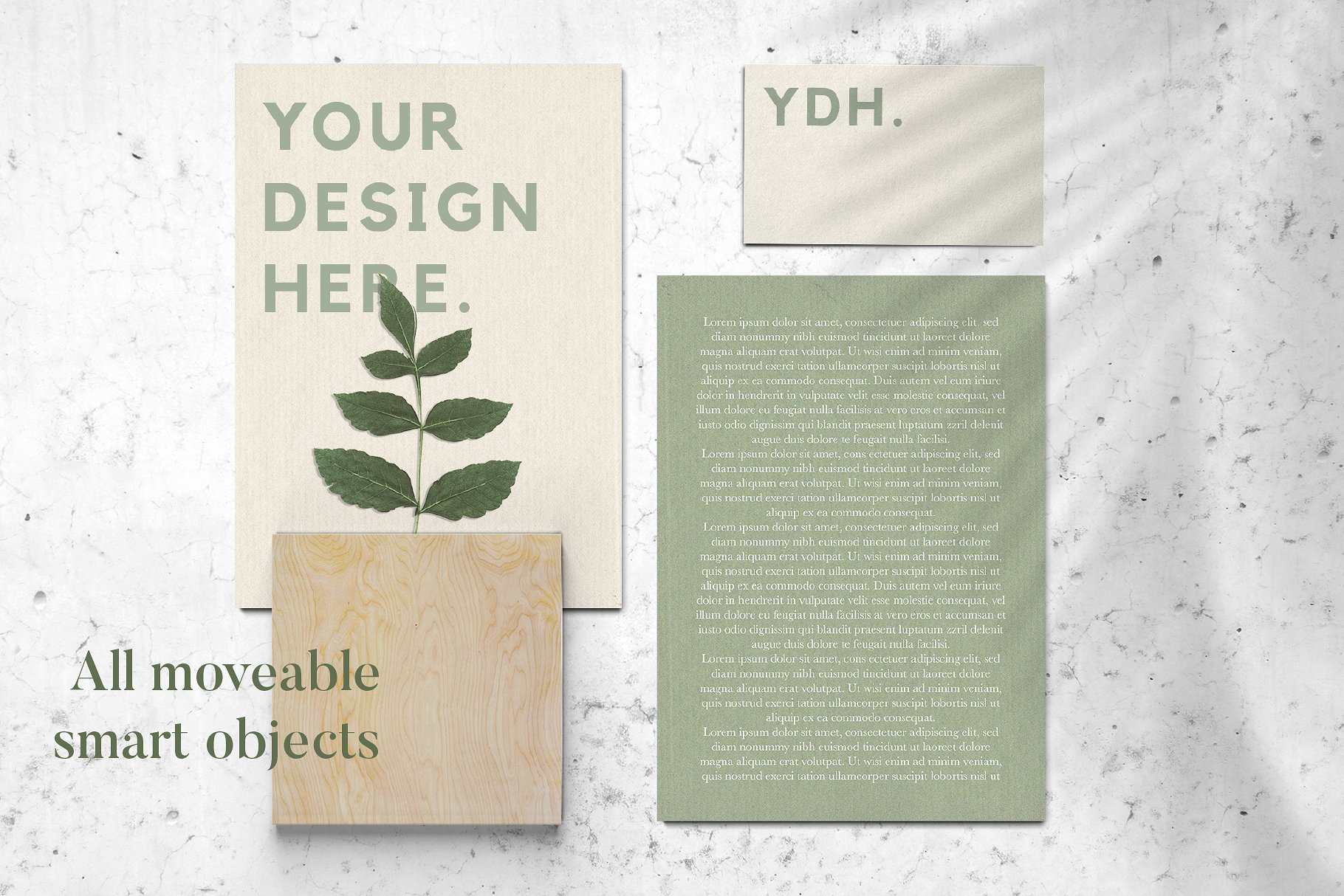 自然风格品牌VI设计提案办公文创展示样机PSD智能贴图模板 Natural Stationary Branding Mockup_img_2