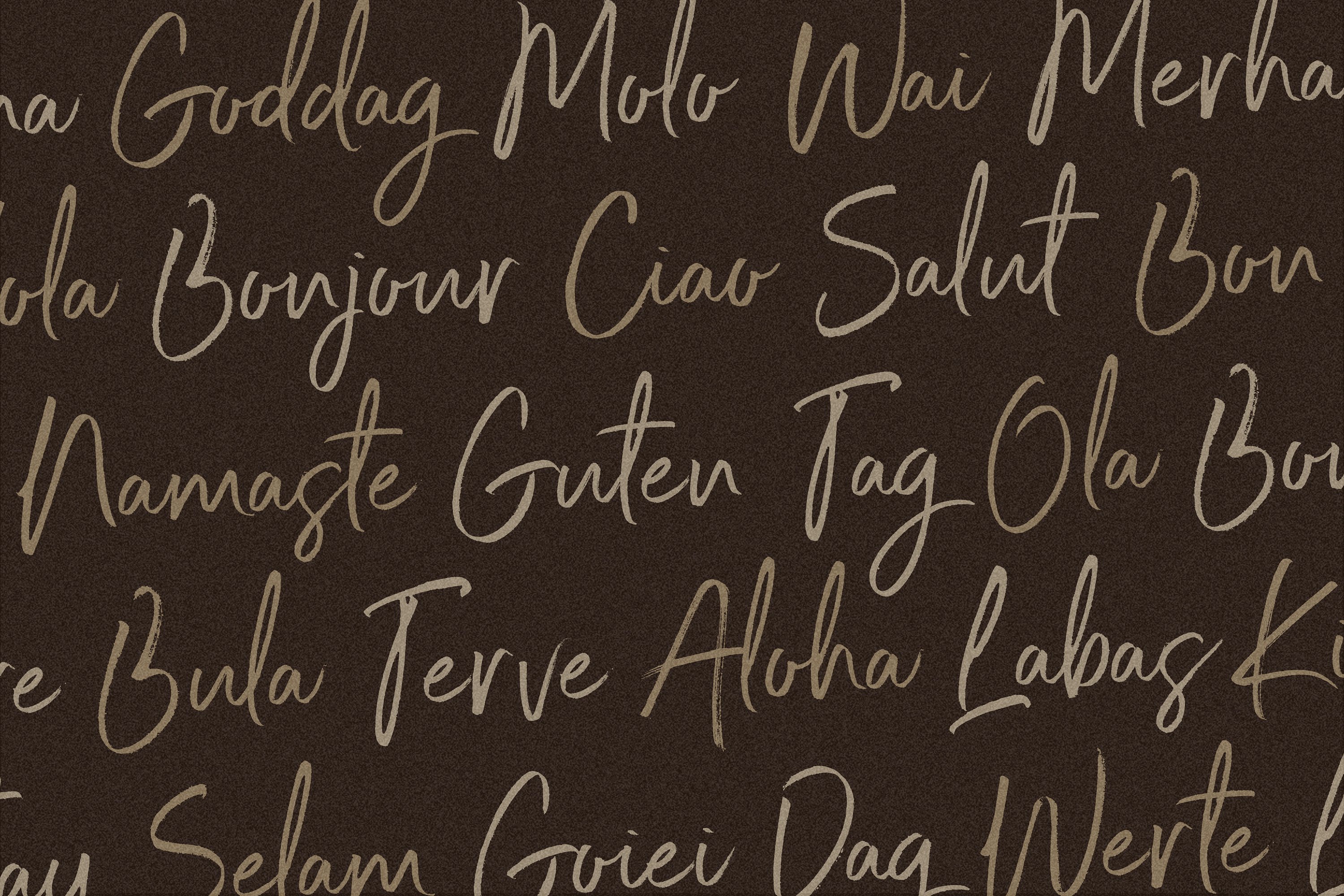 手写自然的标志风格书法字体 Port Blair / Script Font + Bonus_img_2