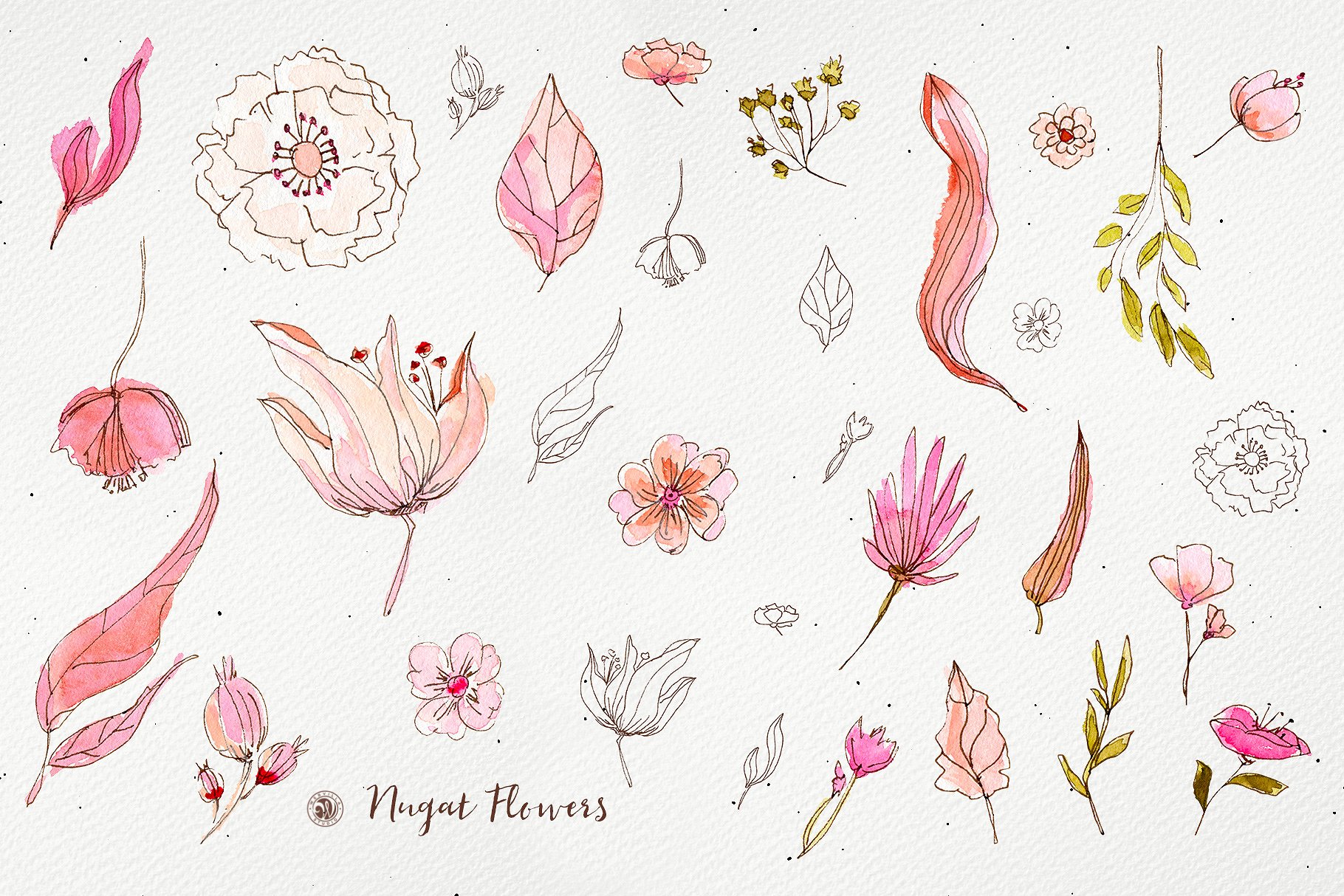 手绘花卉水彩墨水剪贴画集 Hand Drawn Floral Watercolor Ink Clip Art Set_img_2