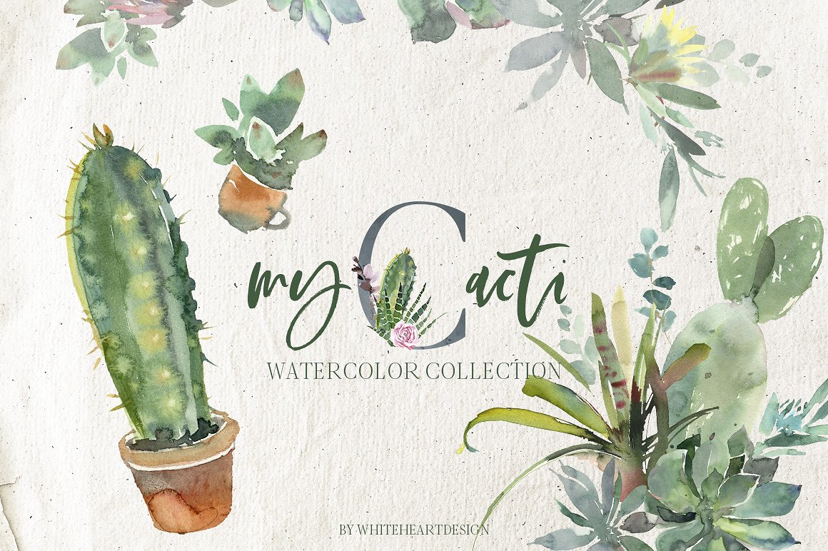 漂亮的手绘仙人掌多肉花卉PNG剪贴画集 Beautiful Hand-Painted Cactus Succulent Flower PNG Clip Art Set_img_2