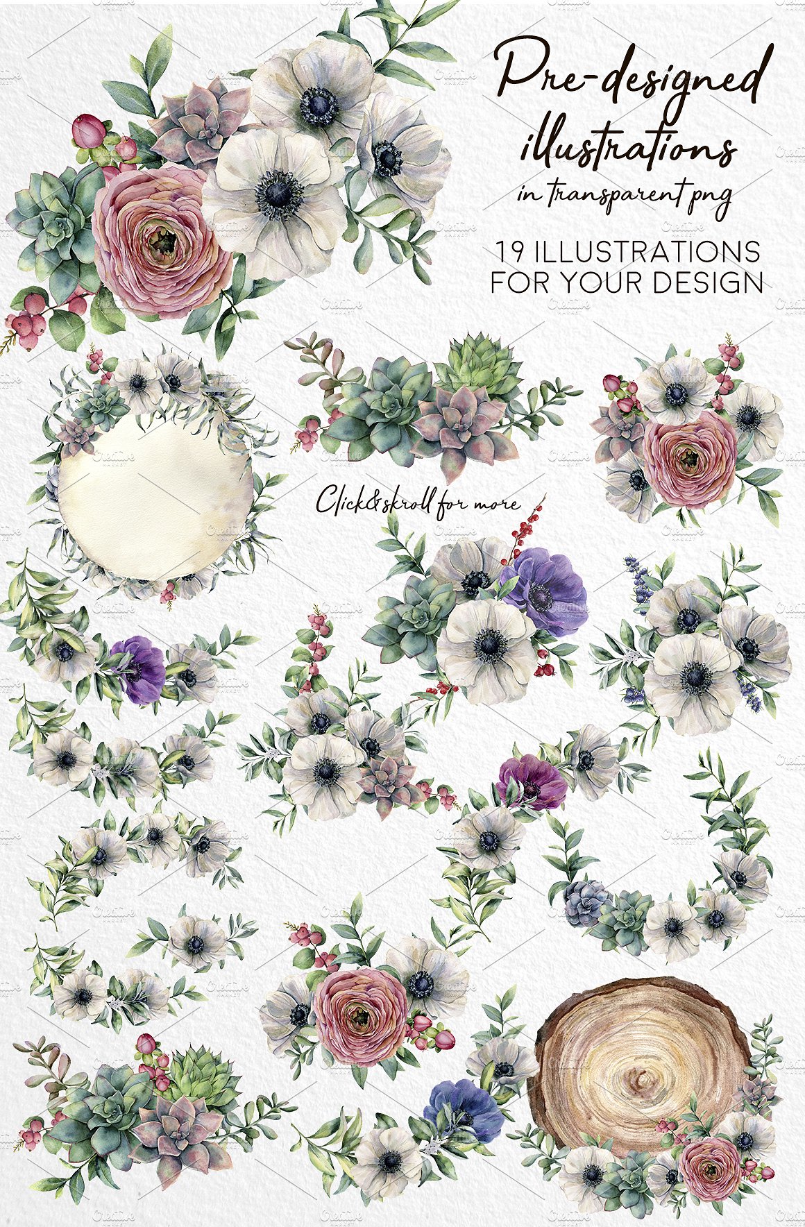 美丽的手绘水彩画海葵多肉植物PNG剪贴画 Beautiful Hand Painted Watercolor Anemone Succulents PNG Clip Art_img_2