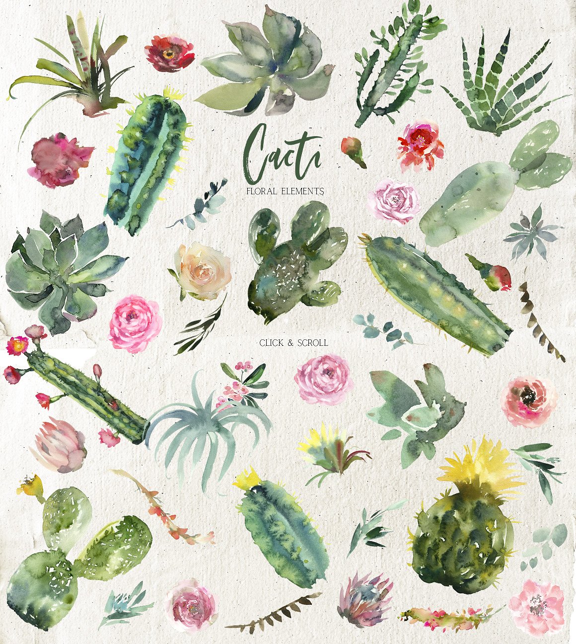 漂亮的手绘仙人掌多肉花卉PNG剪贴画集 Beautiful Hand-Painted Cactus Succulent Flower PNG Clip Art Set_img_2