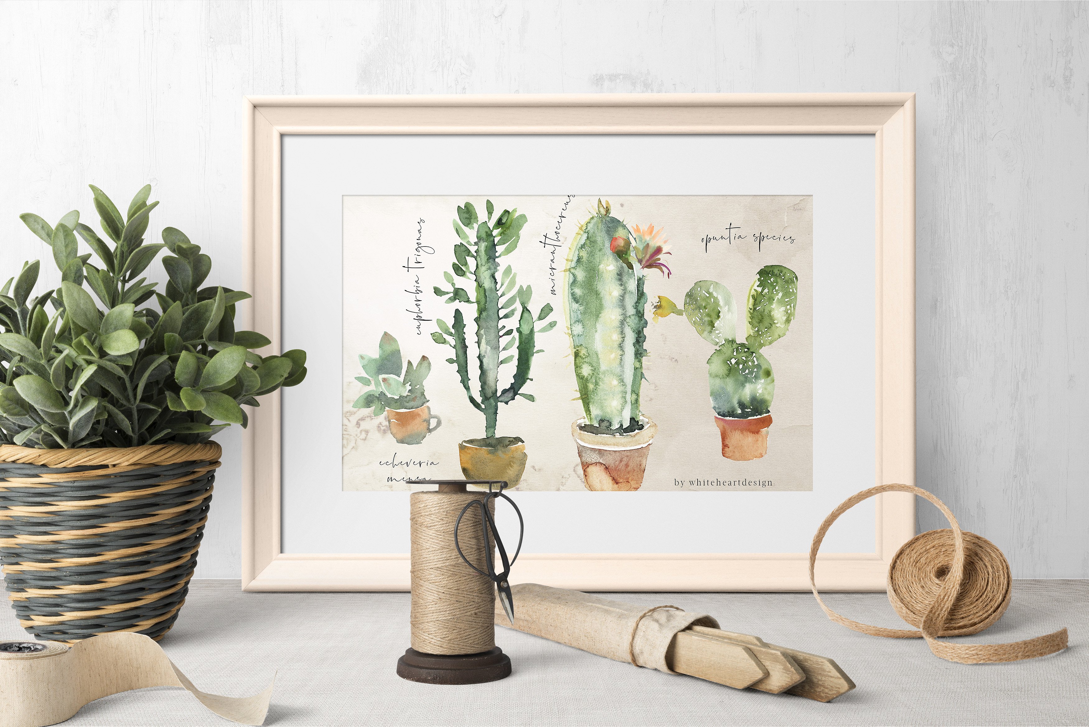 漂亮的手绘仙人掌多肉花卉PNG剪贴画集 Beautiful Hand-Painted Cactus Succulent Flower PNG Clip Art Set_img_2