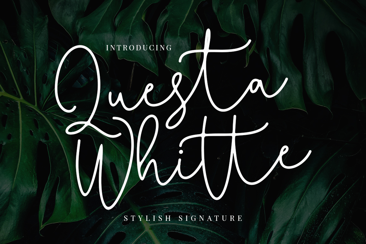 Questa Whitte手写书法签名样式字体脚本 Questa Whitte Handwritten Calligraphy Signature Style Font Script_img_2