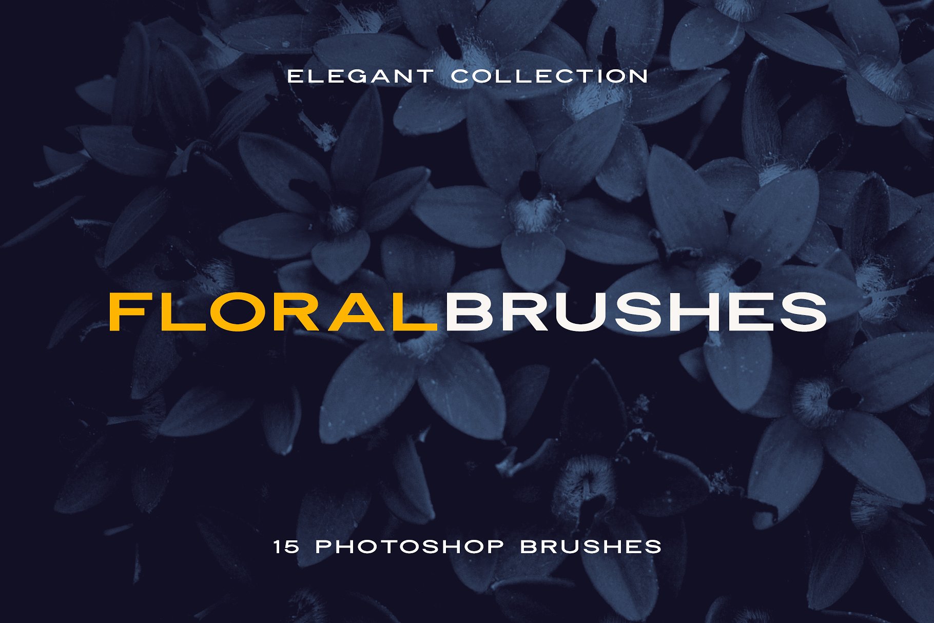 15个优雅的花卉花瓣Photoshop画笔 15 Elegant Floral Petals Photoshop Brushes_img_2