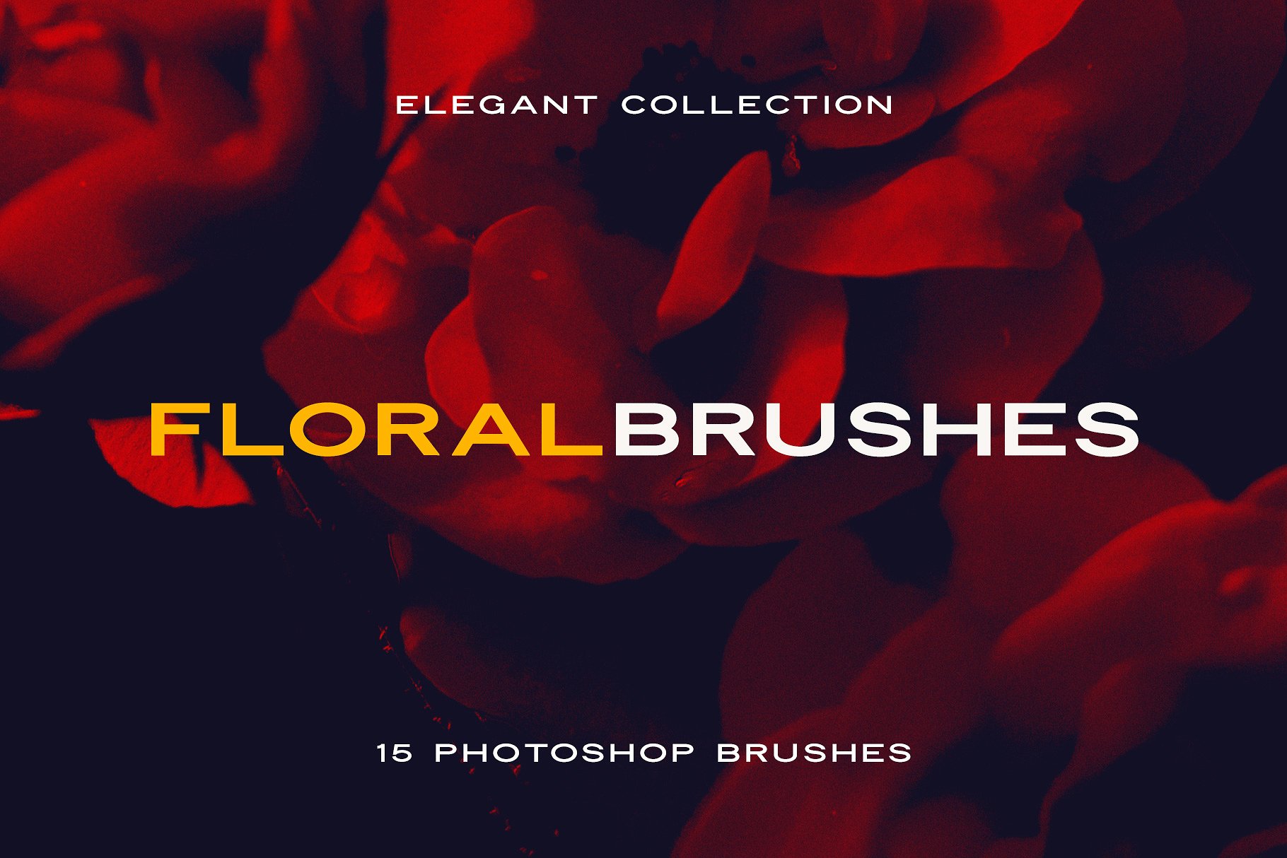 15个优雅的花卉花瓣Photoshop画笔 15 Elegant Floral Petals Photoshop Brushes_img_2