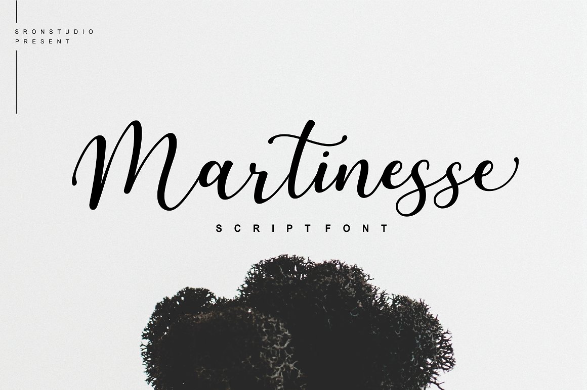 现代和优雅的手写签名脚本字体 Martinesse - Beautiful Script Font_img_2