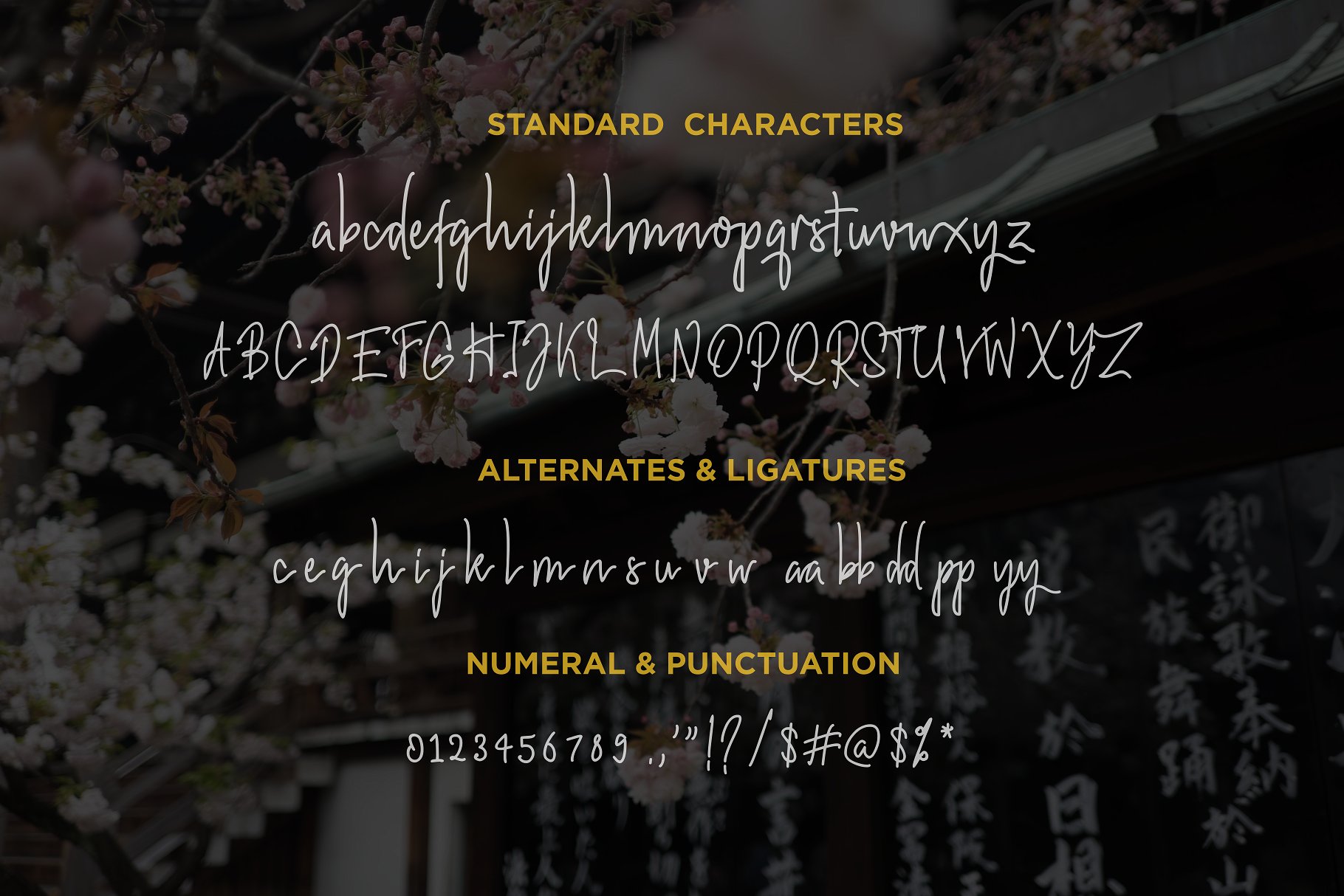 时尚优雅的手写粗笔画和线条字体 Hiroshima - A Stylish Handwritten Font_img_2