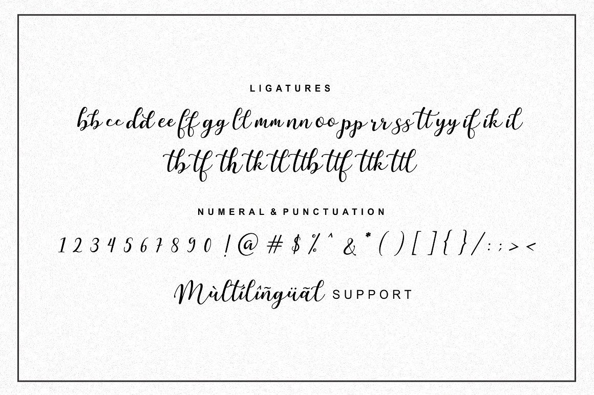 现代和优雅的手写签名脚本字体 Martinesse - Beautiful Script Font_img_2