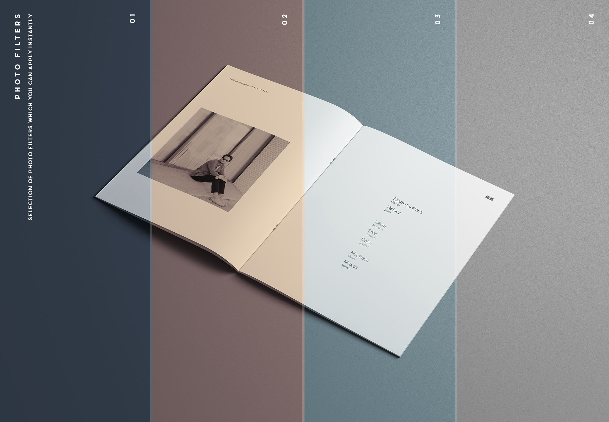 时尚简约优雅的专业画册杂志设计样机展示 Fashion Simple And Elegant Professional Album Magazine Design Prototype Show[2.16G]_img_2