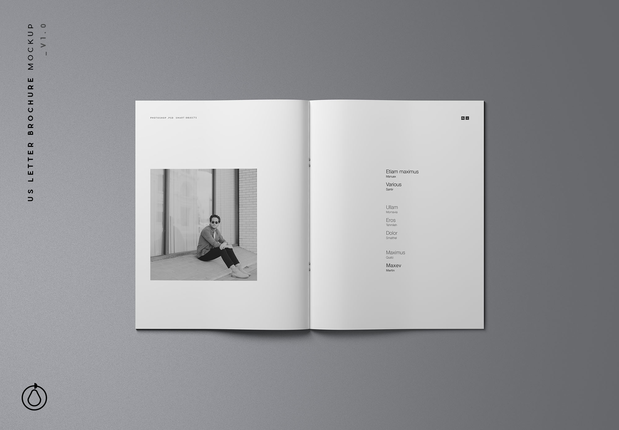 时尚简约优雅的专业画册杂志设计样机展示 Fashion Simple And Elegant Professional Album Magazine Design Prototype Show[2.16G]_img_2