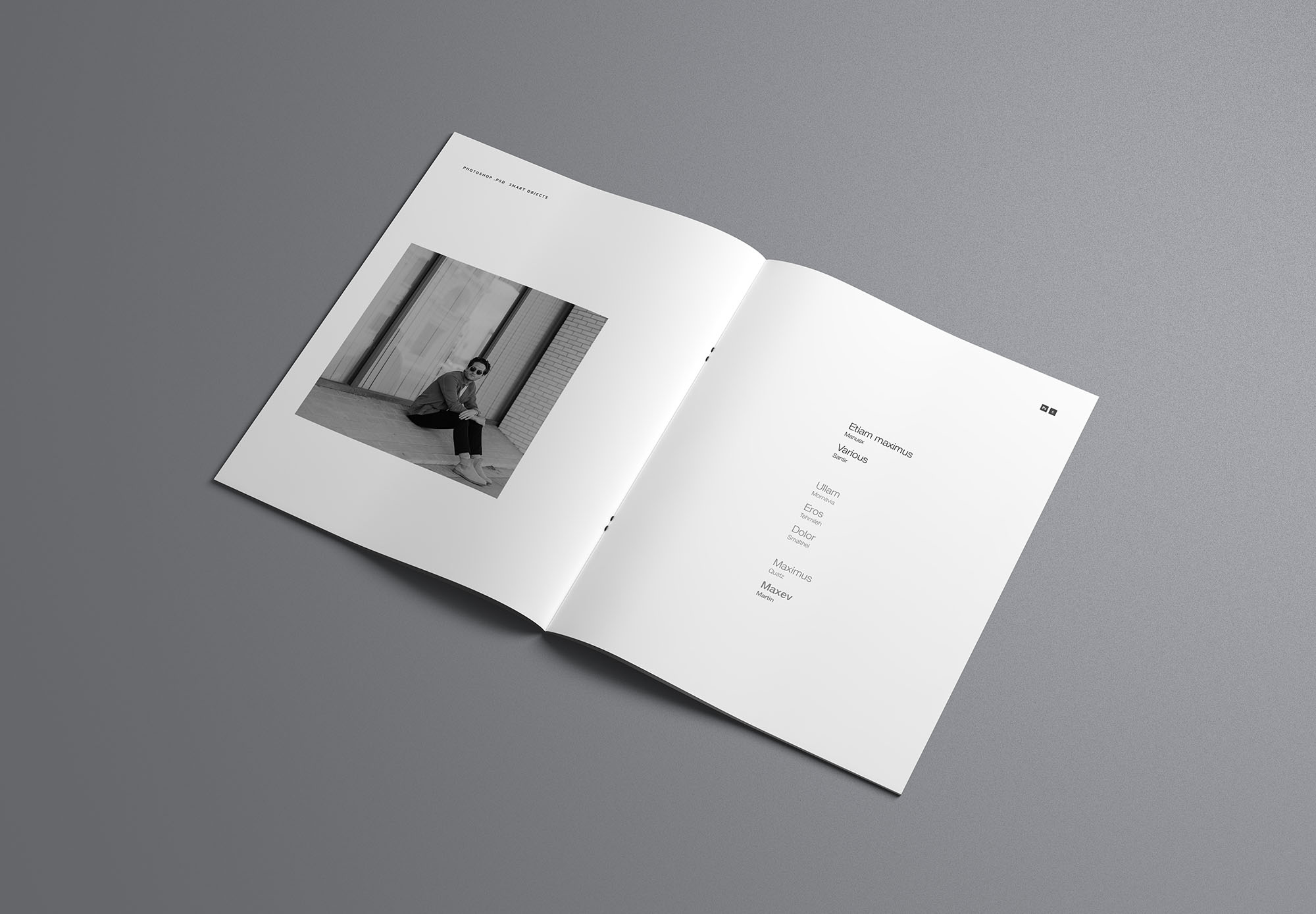 时尚简约优雅的专业画册杂志设计样机展示 Fashion Simple And Elegant Professional Album Magazine Design Prototype Show[2.16G]_img_2