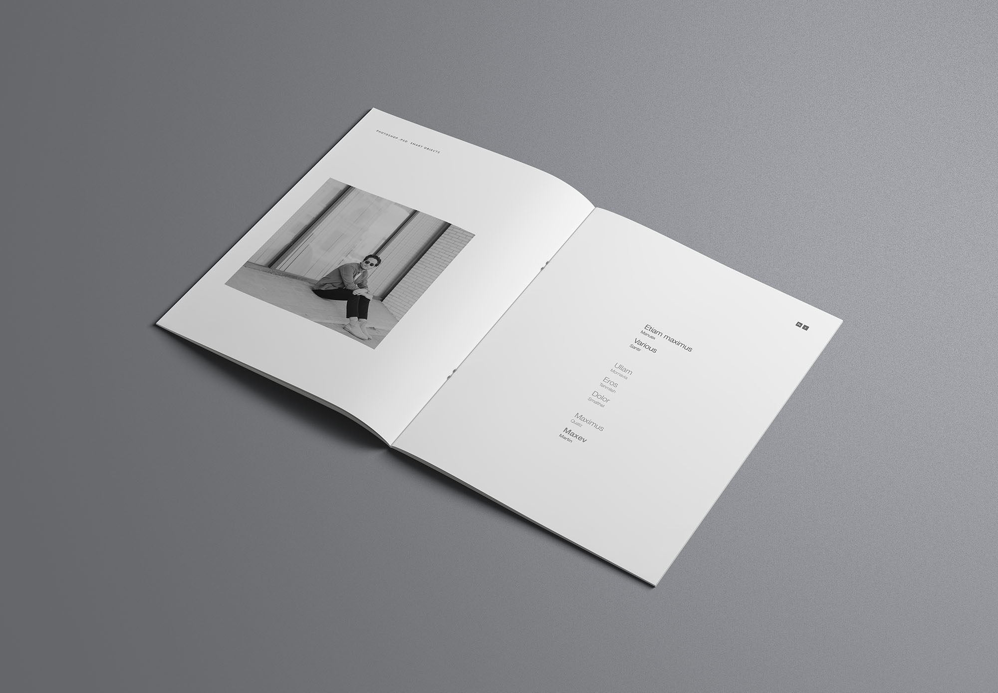 时尚简约优雅的专业画册杂志设计样机展示 Fashion Simple And Elegant Professional Album Magazine Design Prototype Show[2.16G]_img_2