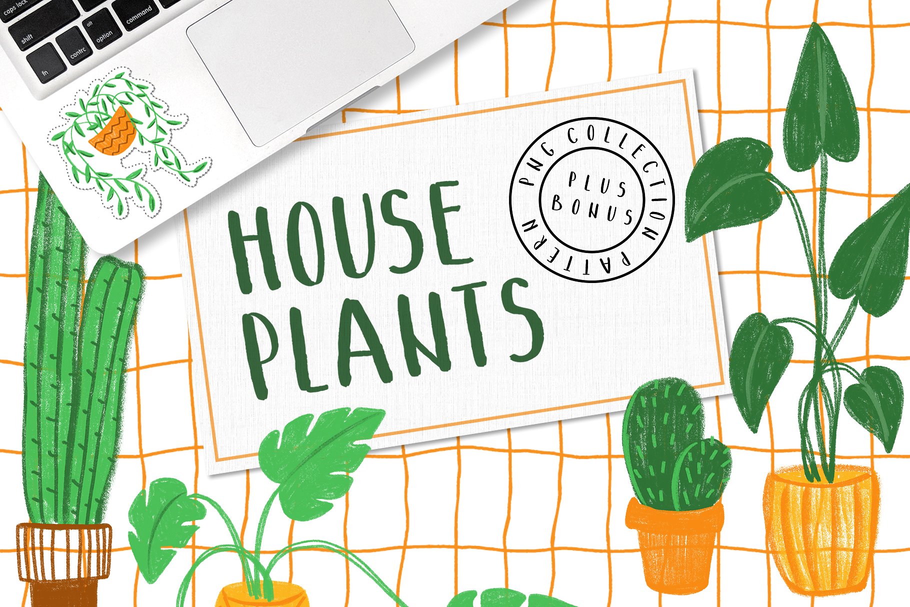 手绘室内花盆植物图案合集 Hand Drawn Indoor Flowerpot Plant Pattern Collection_img_2