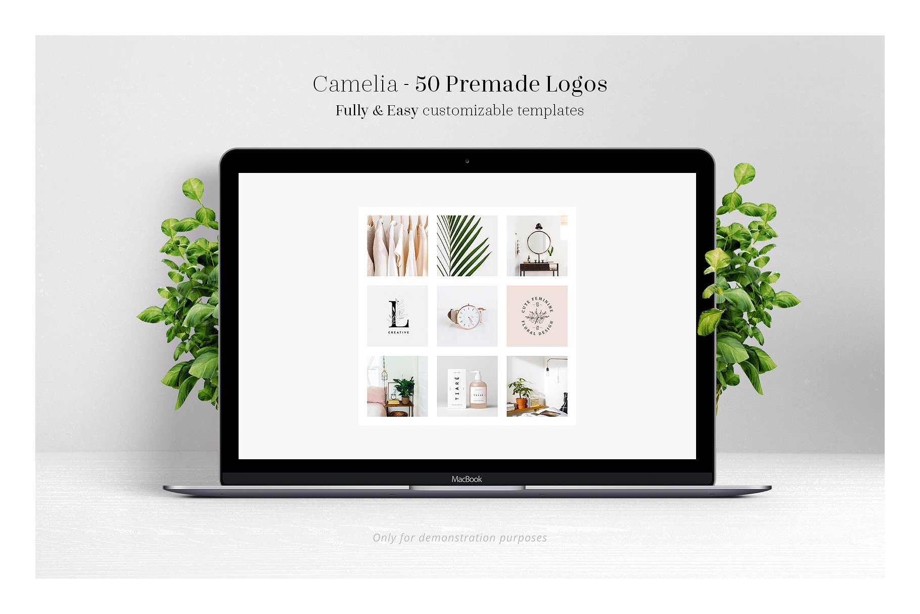 50个以茶花为元素的标志模板 Camelia - 50 Premium Logo Templates_img_2