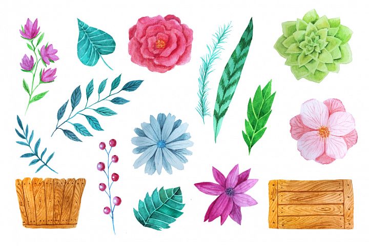 手绘水彩花卉剪贴画合集 Hand Drawn Watercolor Floral Clip Art Collection_img_2