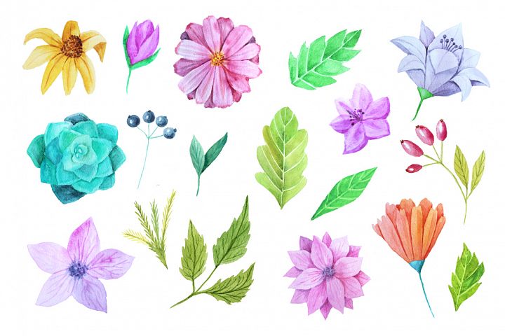 手绘水彩花卉剪贴画合集 Hand Drawn Watercolor Floral Clip Art Collection_img_2