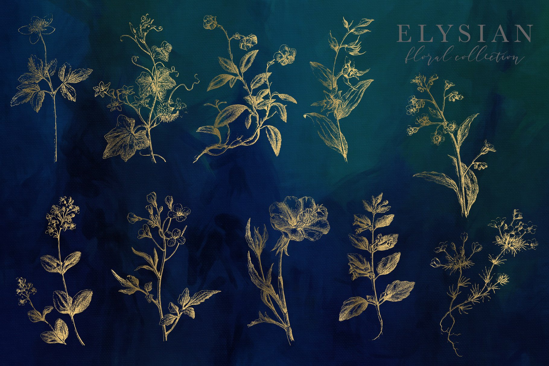 高清复古字母花卉PNG透明免抠图片合集 Elysian Floral Collection_img_2