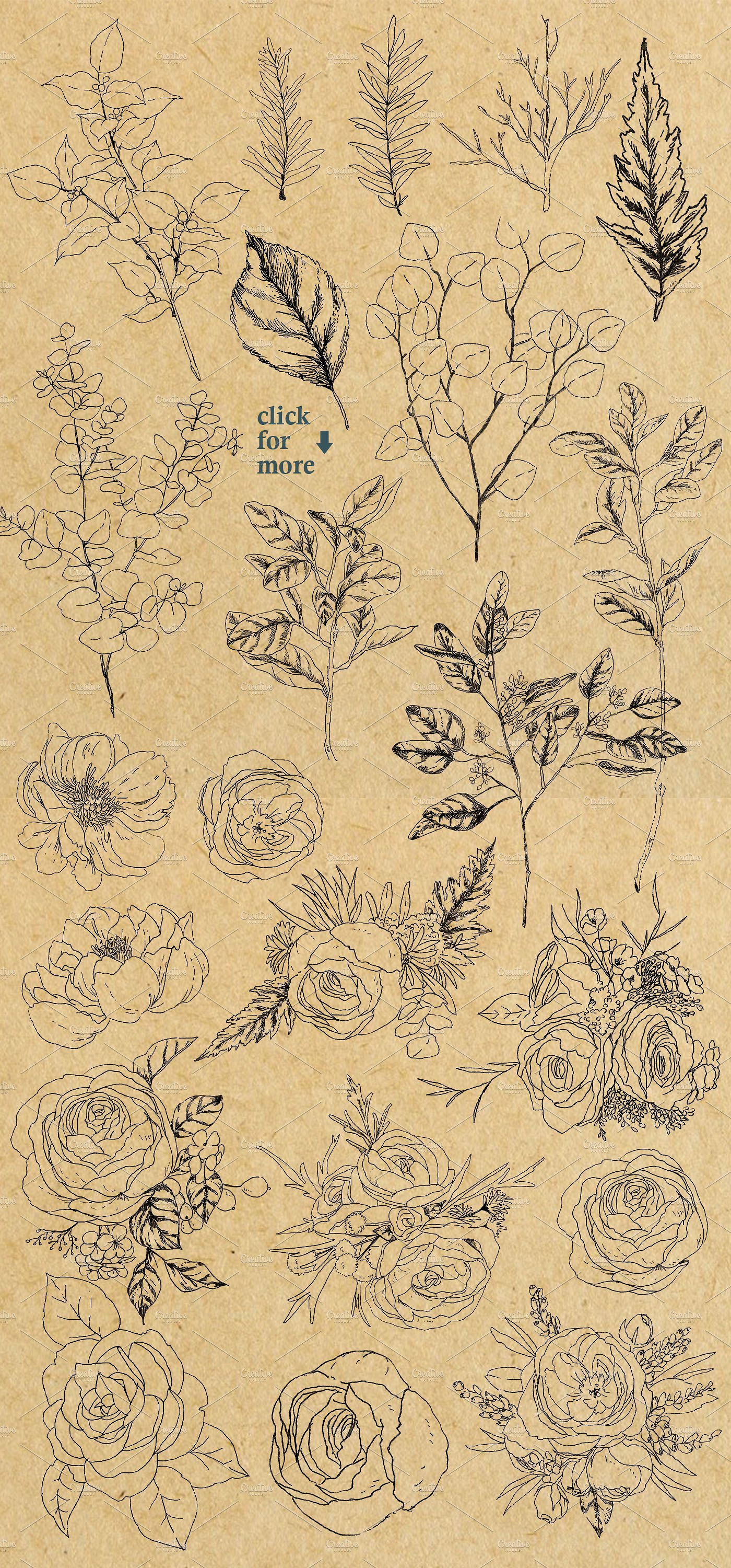 手绘冬季花朵叶子合集 Winter Joy Demo Pack_img_2
