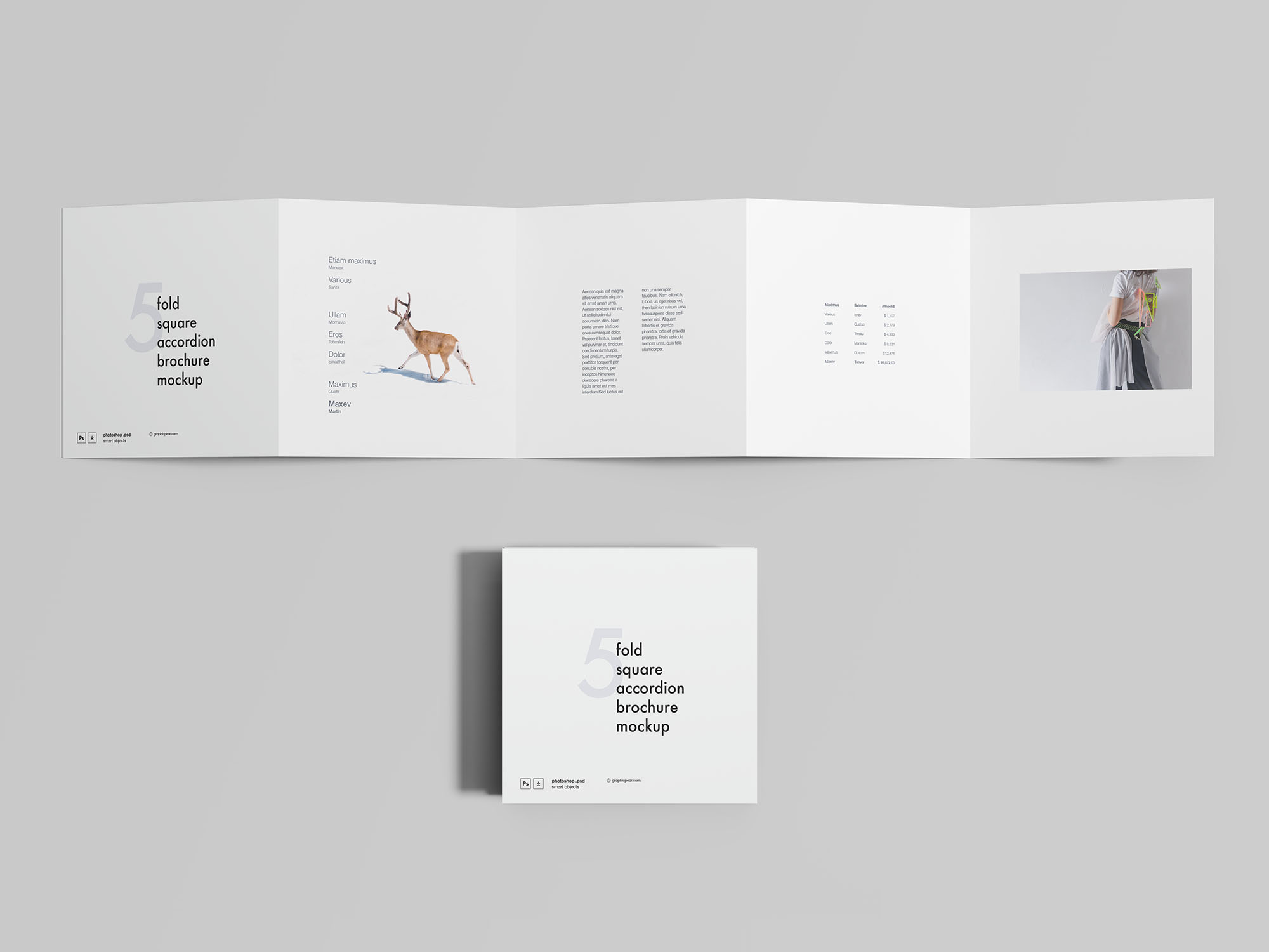 4折叠方形手风琴宣传册样机 4 Fold Square Accordion Brochure Mockup_img_2