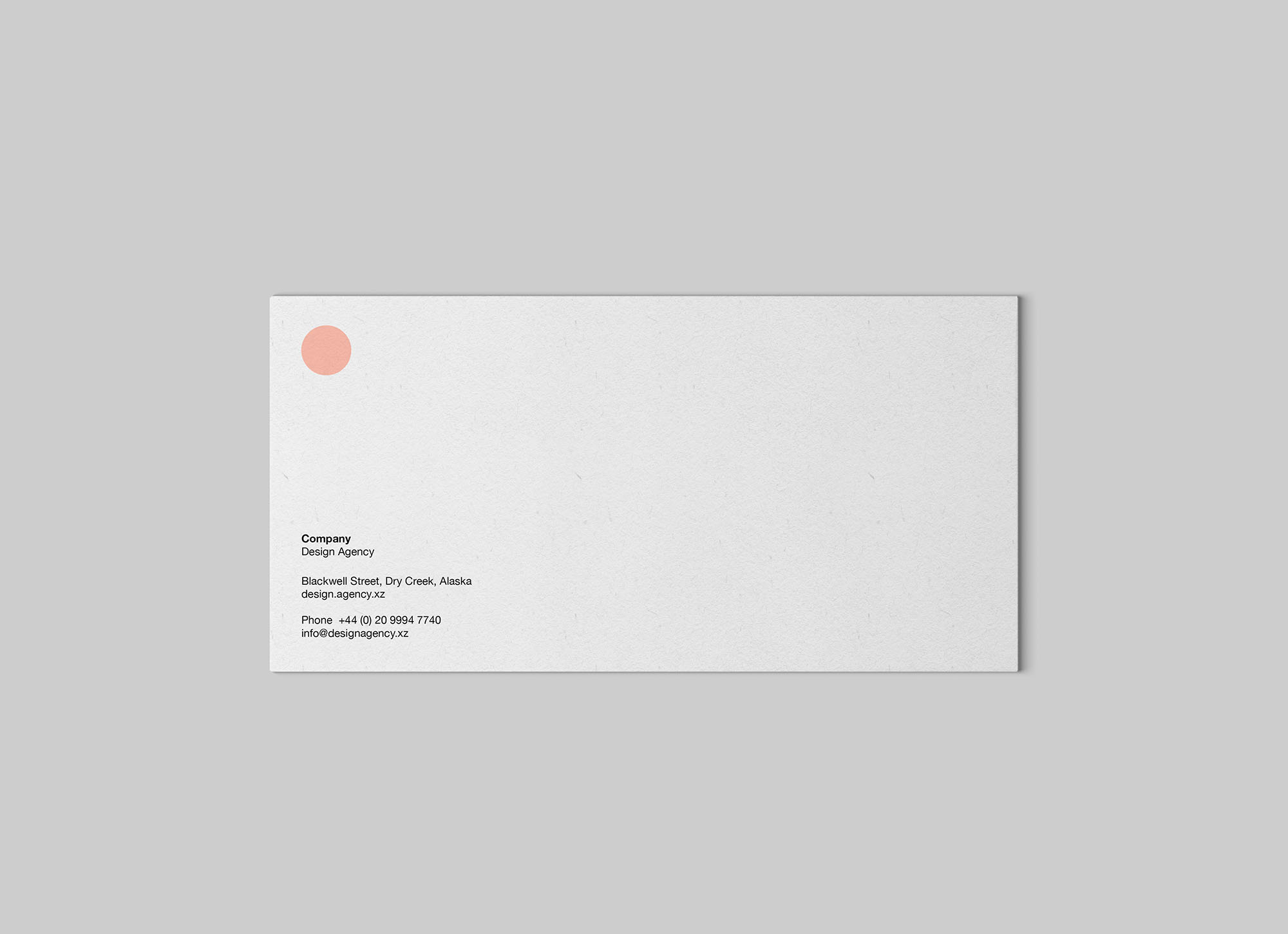 简洁精致的标准DL信封样机 Standard Dl Envelope Mockup_img_2
