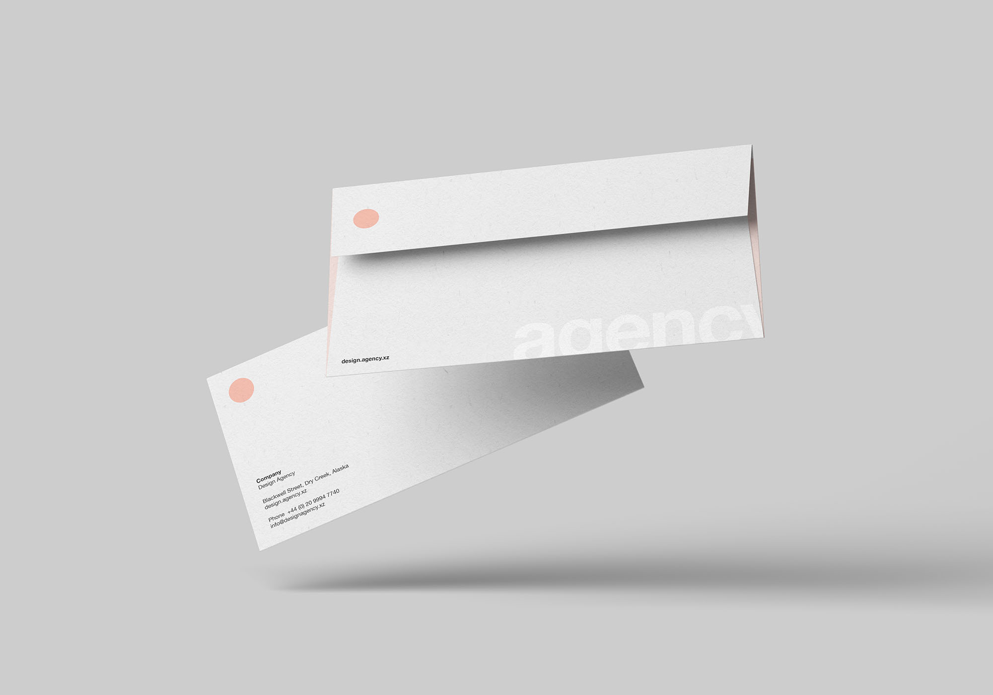 简洁精致的标准DL信封样机 Standard Dl Envelope Mockup_img_2