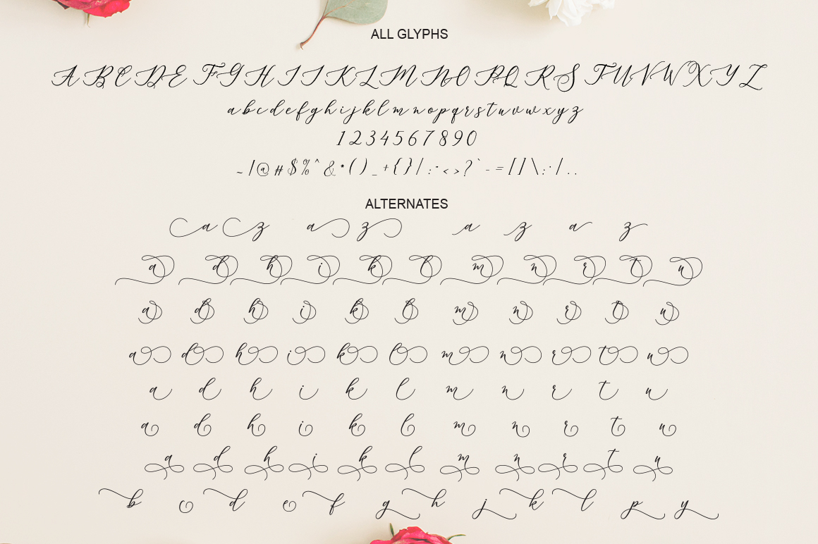 梅林达全新现代手绘风格字体 Melinda Script_img_2