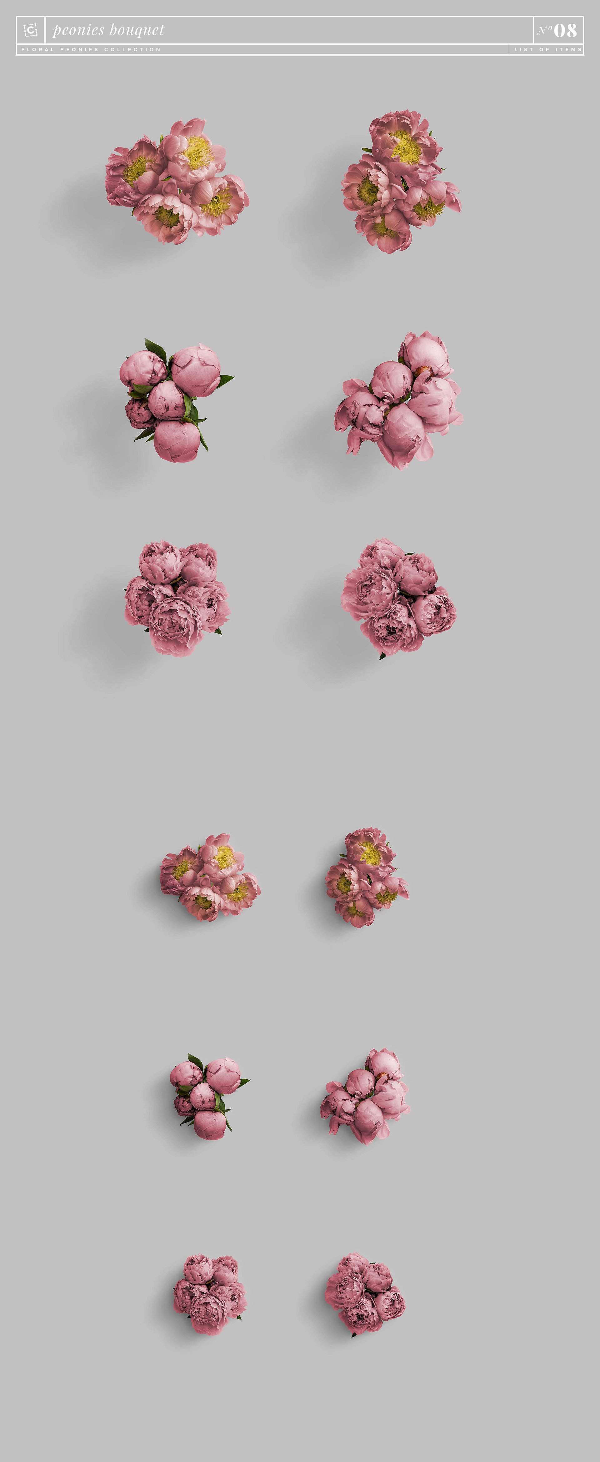 牡丹花卉系列高清图片集合 Floral Peonies Collection_img_2