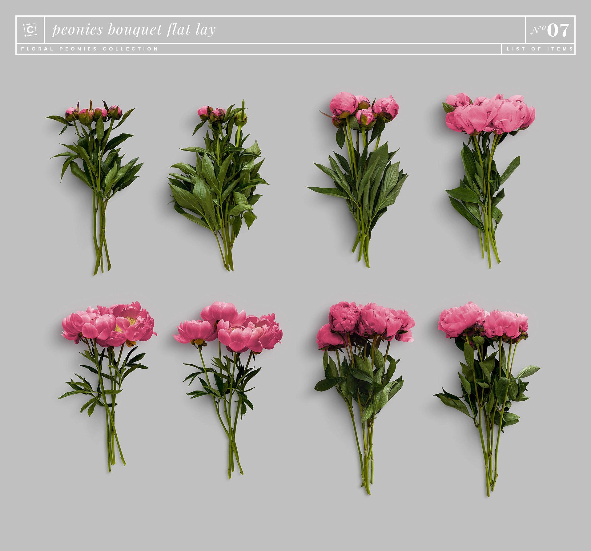 牡丹花卉系列高清图片集合 Floral Peonies Collection_img_2