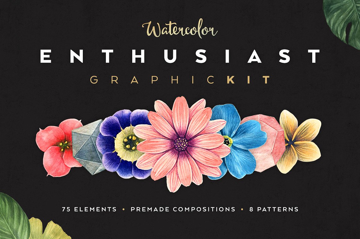 精美宝石花卉手绘水彩插图集合 Watercolor Enthusiast Graphic Kit_img_2